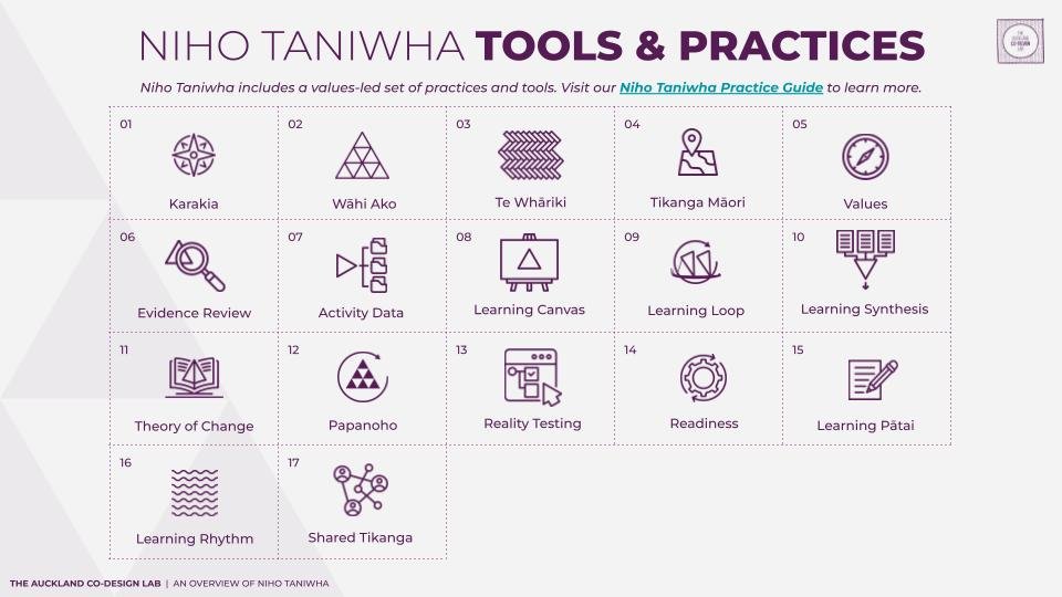 Niho Taniwha Overview_2026 Final.pptx (9).jpg