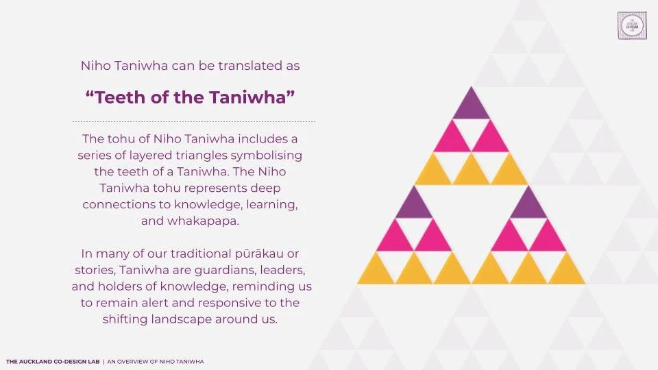 Niho Taniwha Overview_2026 Final.pptx (11).jpg
