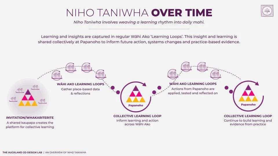 Niho Taniwha Overview_2026 Final.pptx (17).jpg