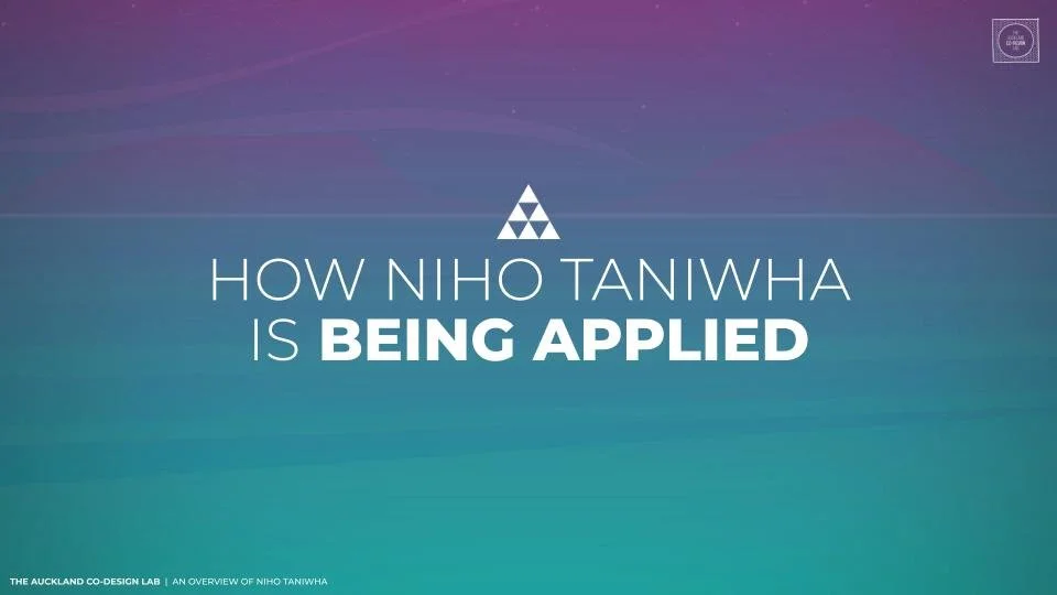 Niho Taniwha Overview_2026 Final.pptx (18).jpg