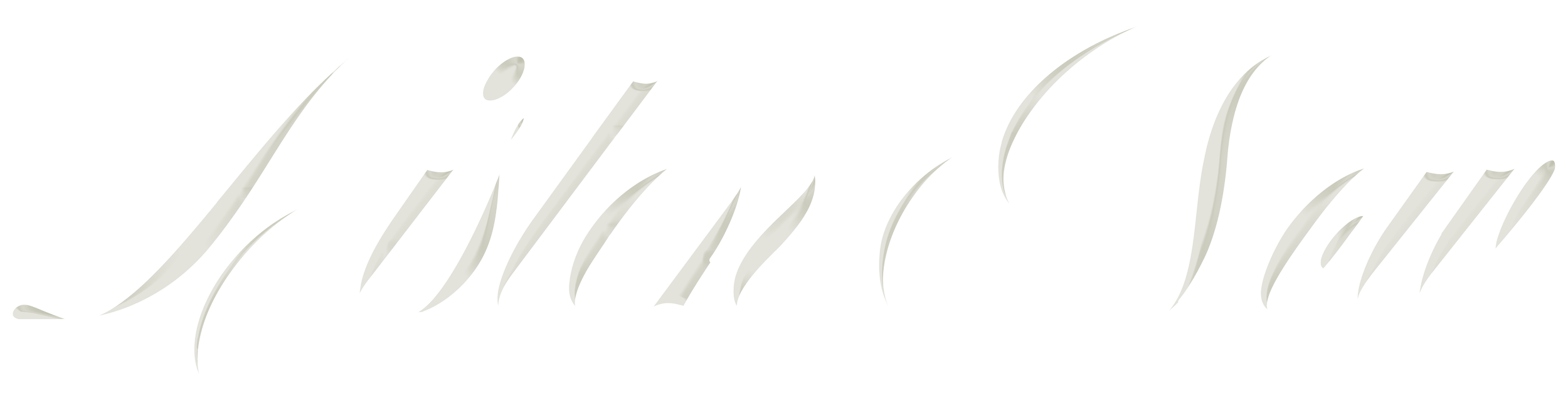 Stylized text logo reading 'Lillian Lane' in script font.