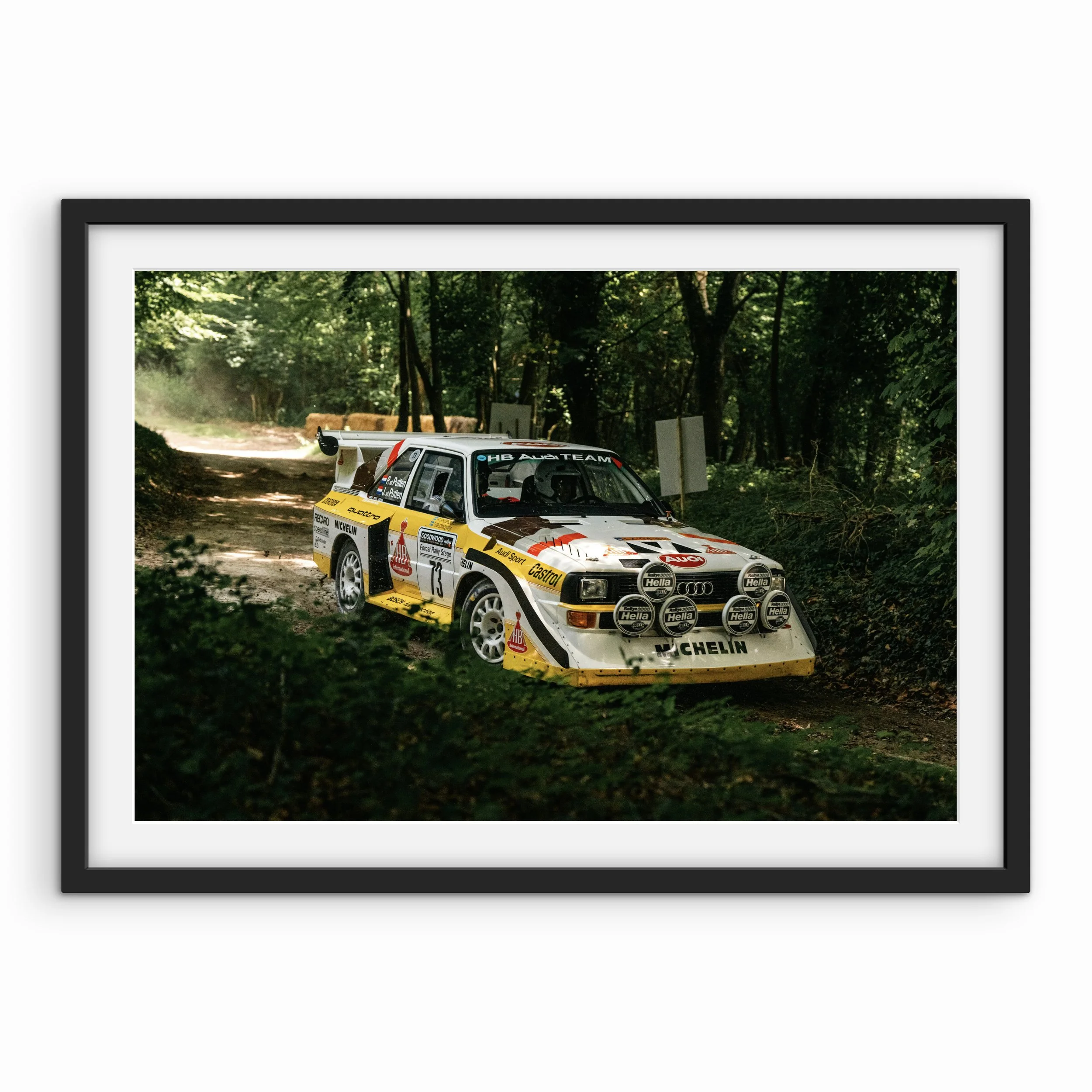Audi Quattro S1 Forest Print