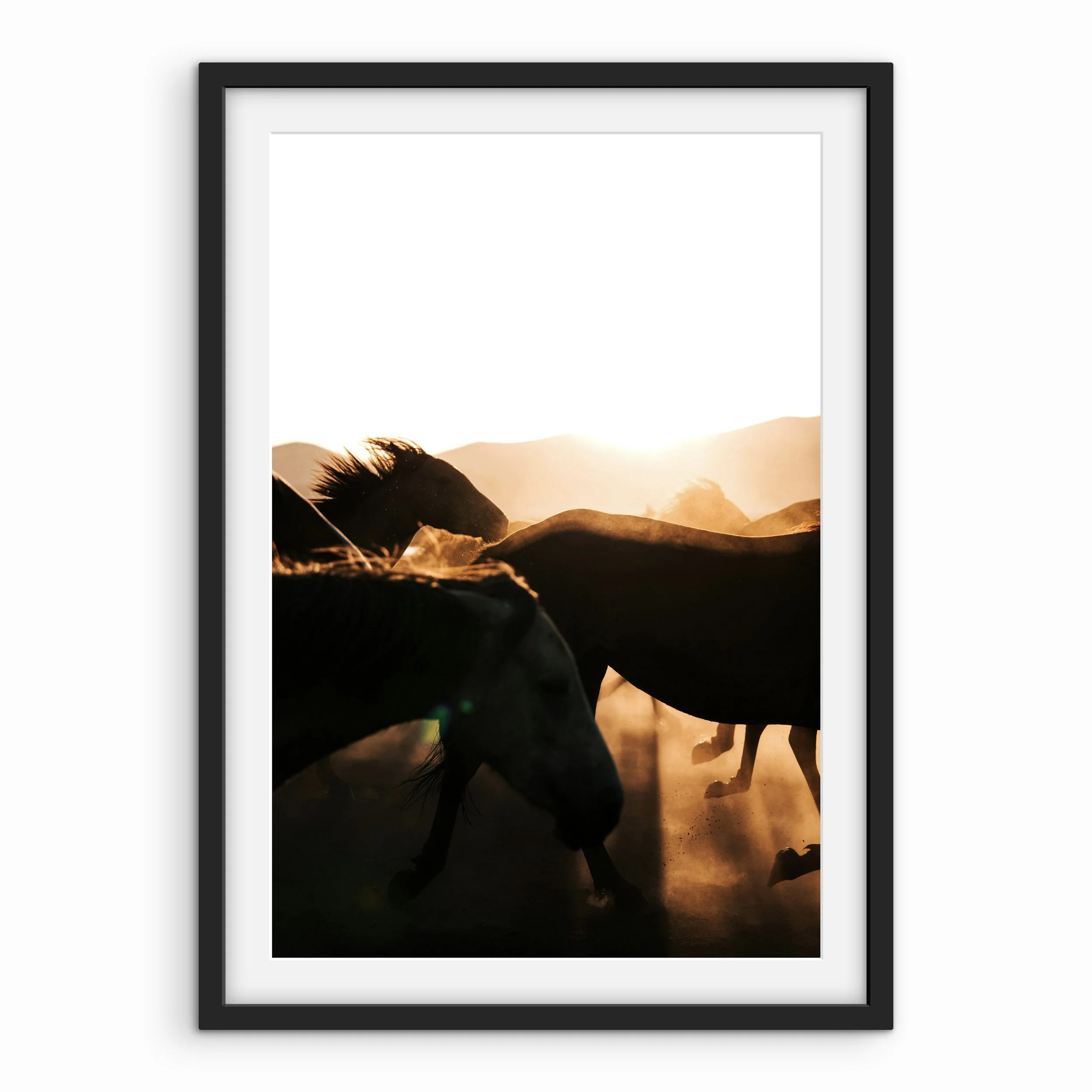 Prancing Mustangs Print