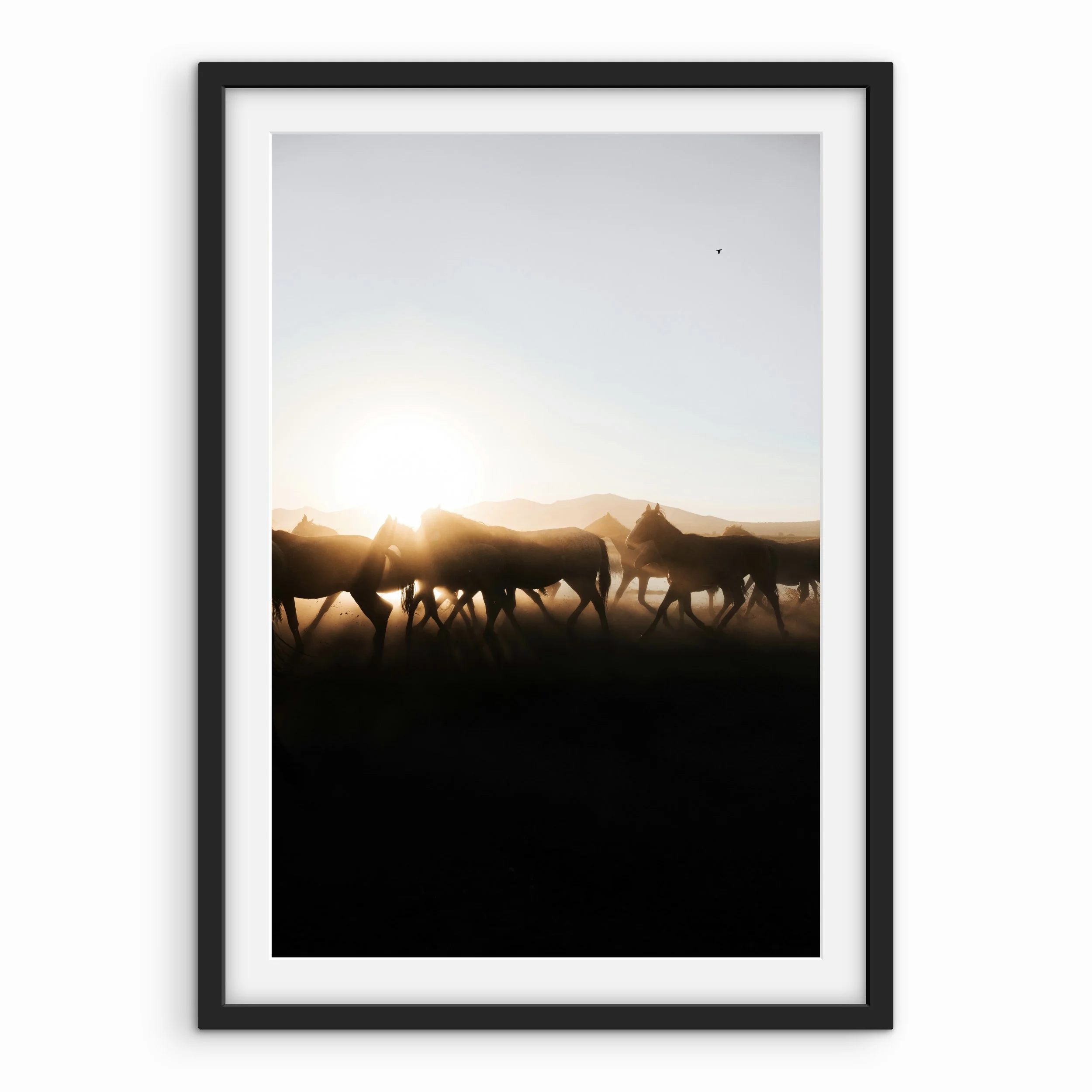 Roaming Mustangs Print