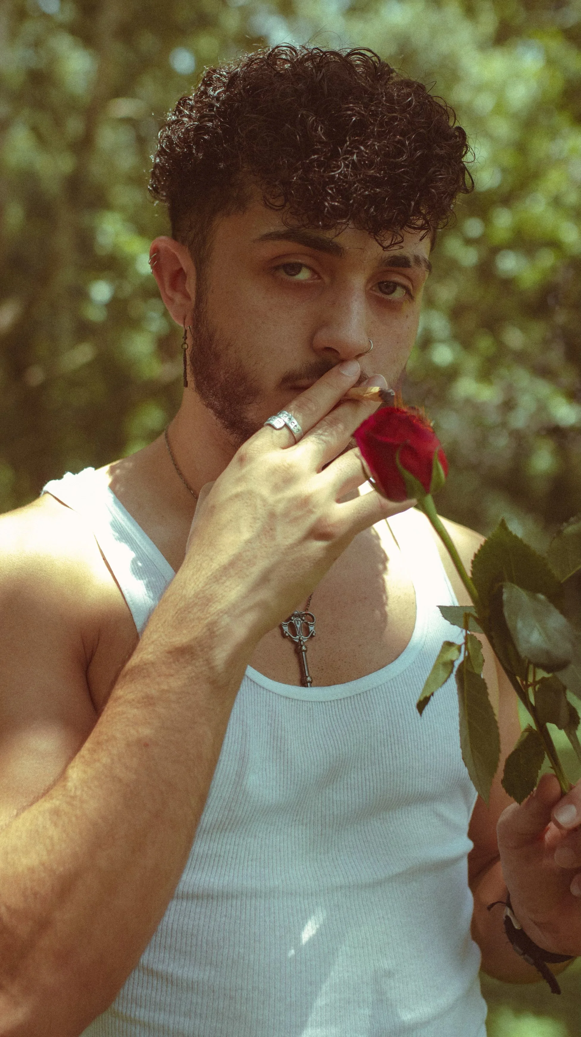 AfterlightImage 12.jpg