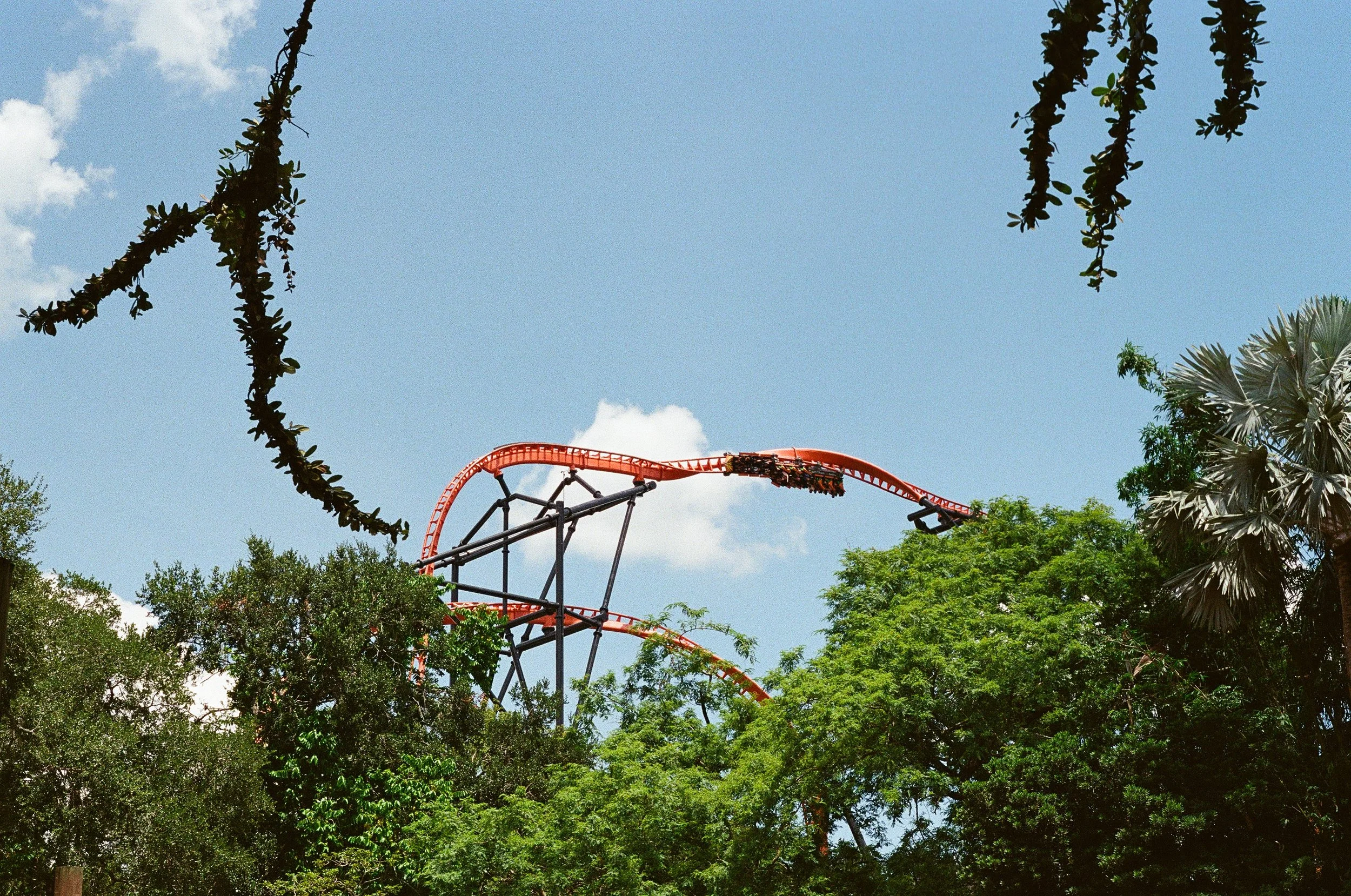 buschgardens_rescan_edited-08.jpg
