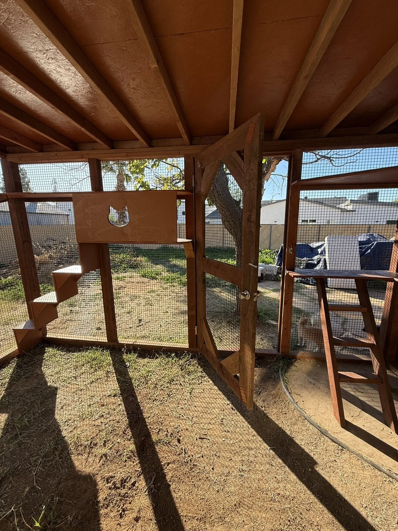 Duo - inside scoop.JPEG