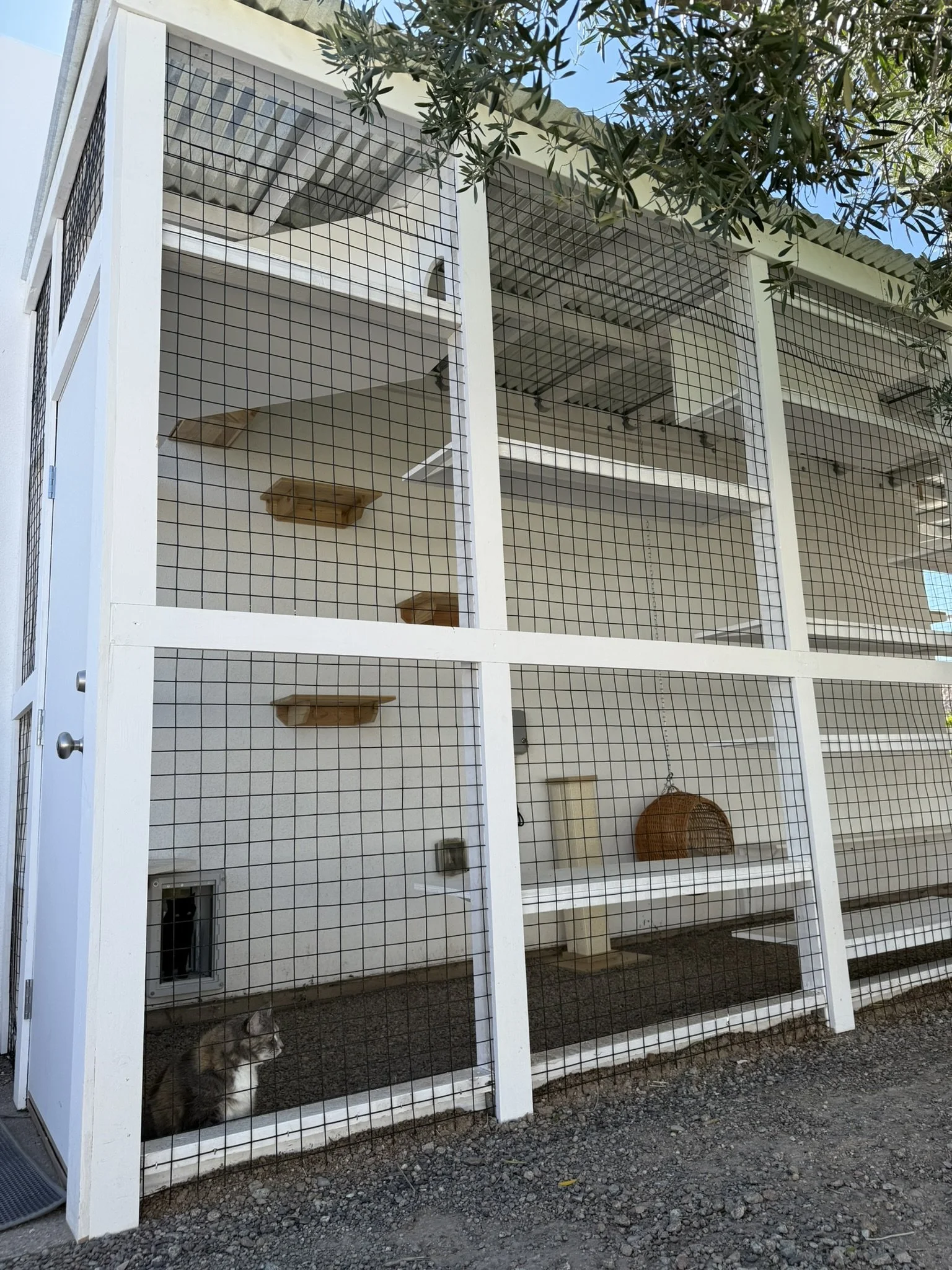 Courtyard -  Different point of view.JPEG