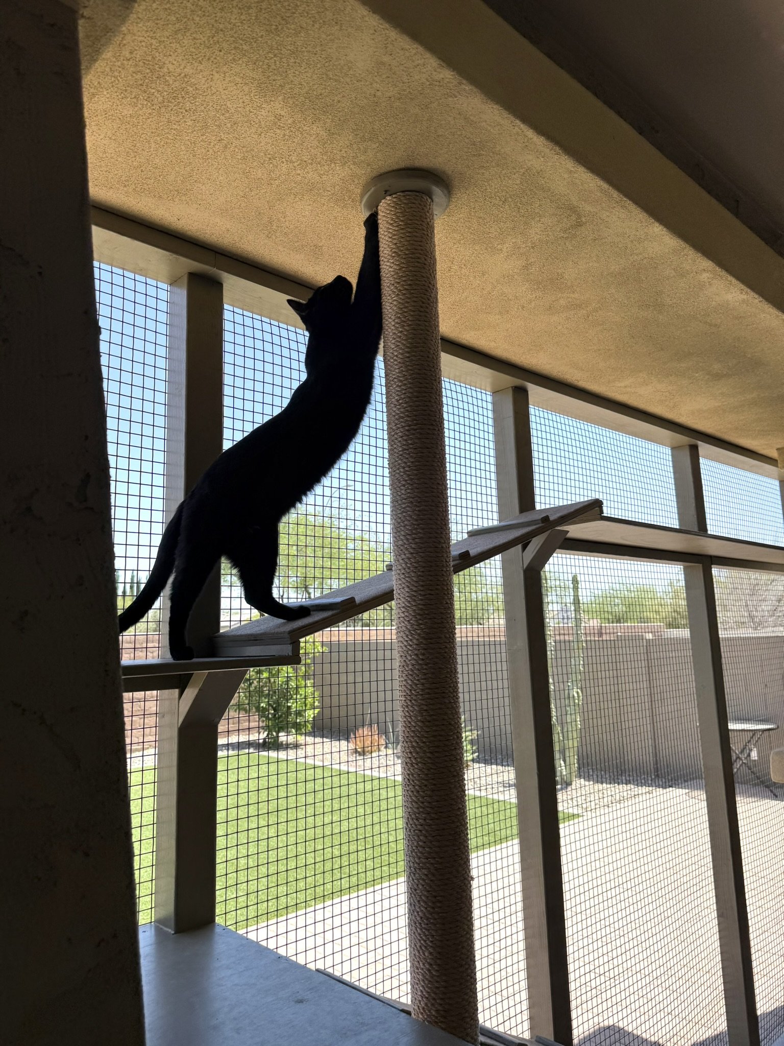 yoga stretch.JPEG