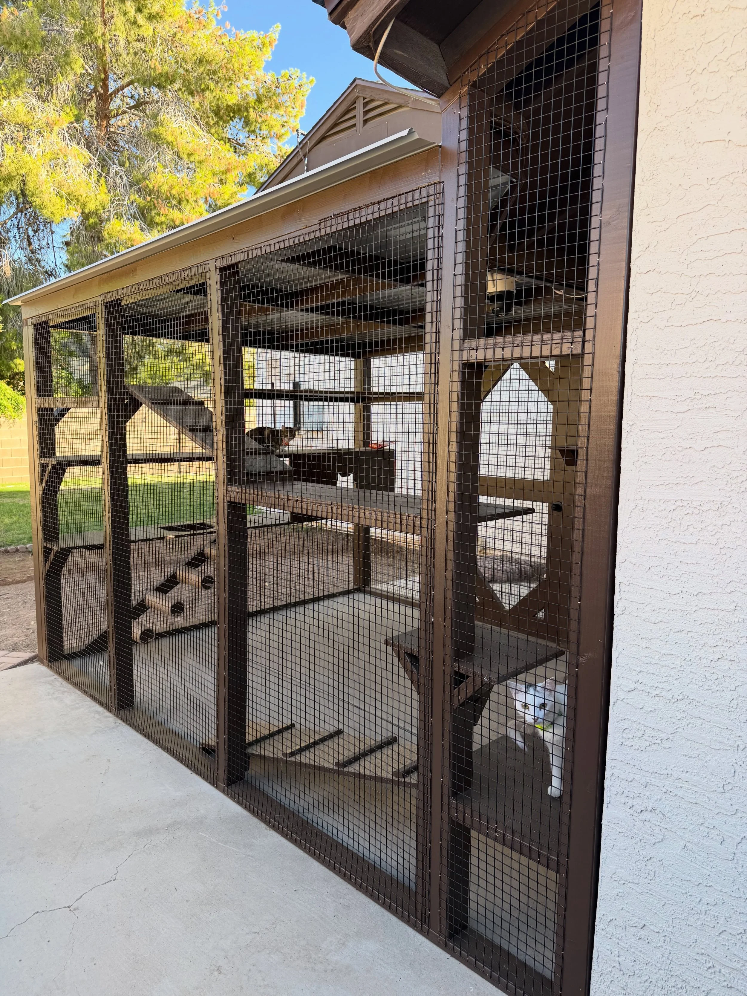 Sometimes the best catio is hiding in an underutilized corner of the home 🙌🏼😽

This once-unused patio now gives Waldo and friends a safe outdoor retreat with easy access through a window cat flap, shelves for climbing and lounging, and front-row s