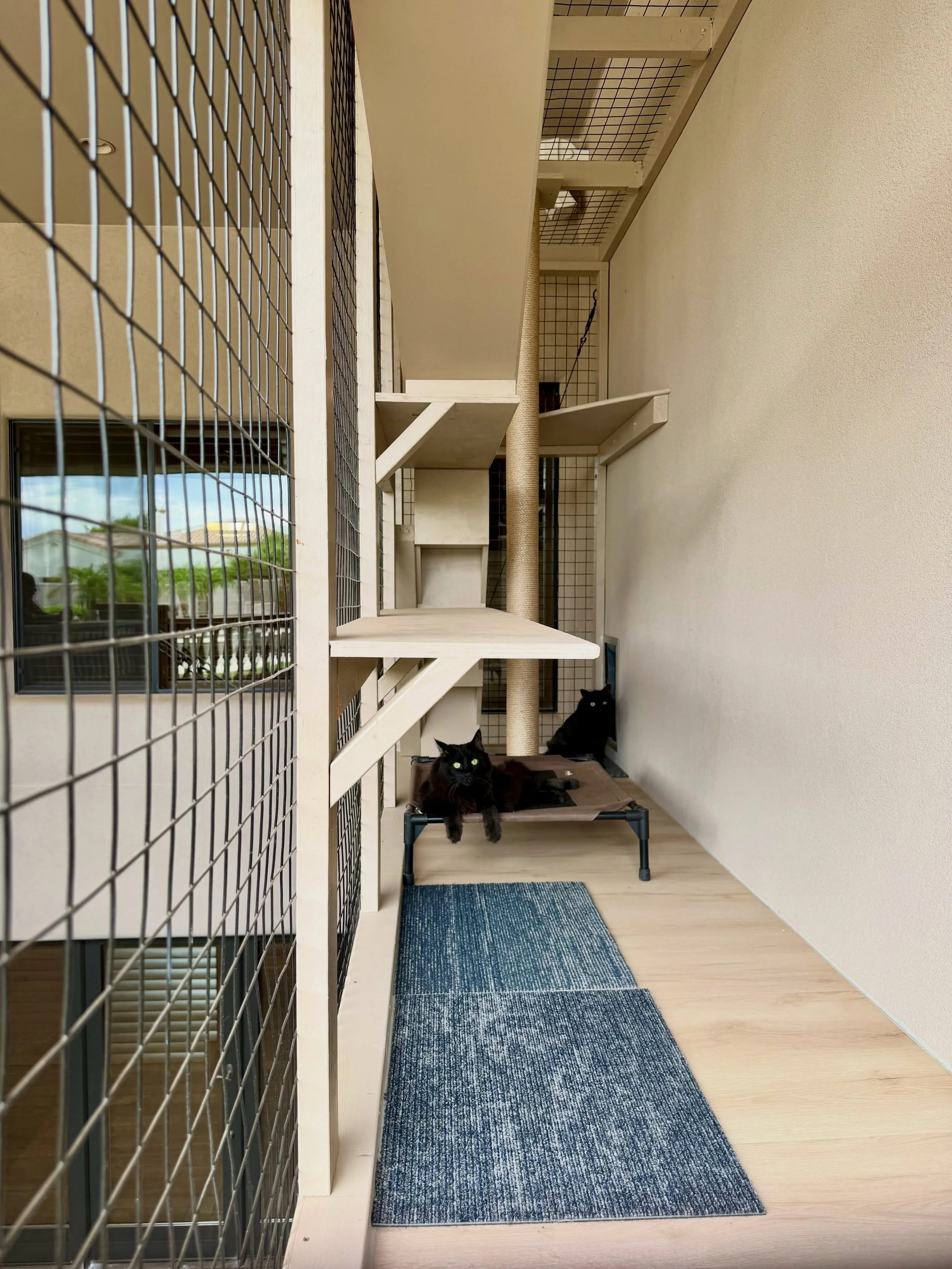 This floating catio is one of a kind! 😻

Structurally designed to support both people and cats, it blends seamlessly with the covered patio while offering shaded backyard views. The cats enter through their own pet door, and a hidden access hatch be