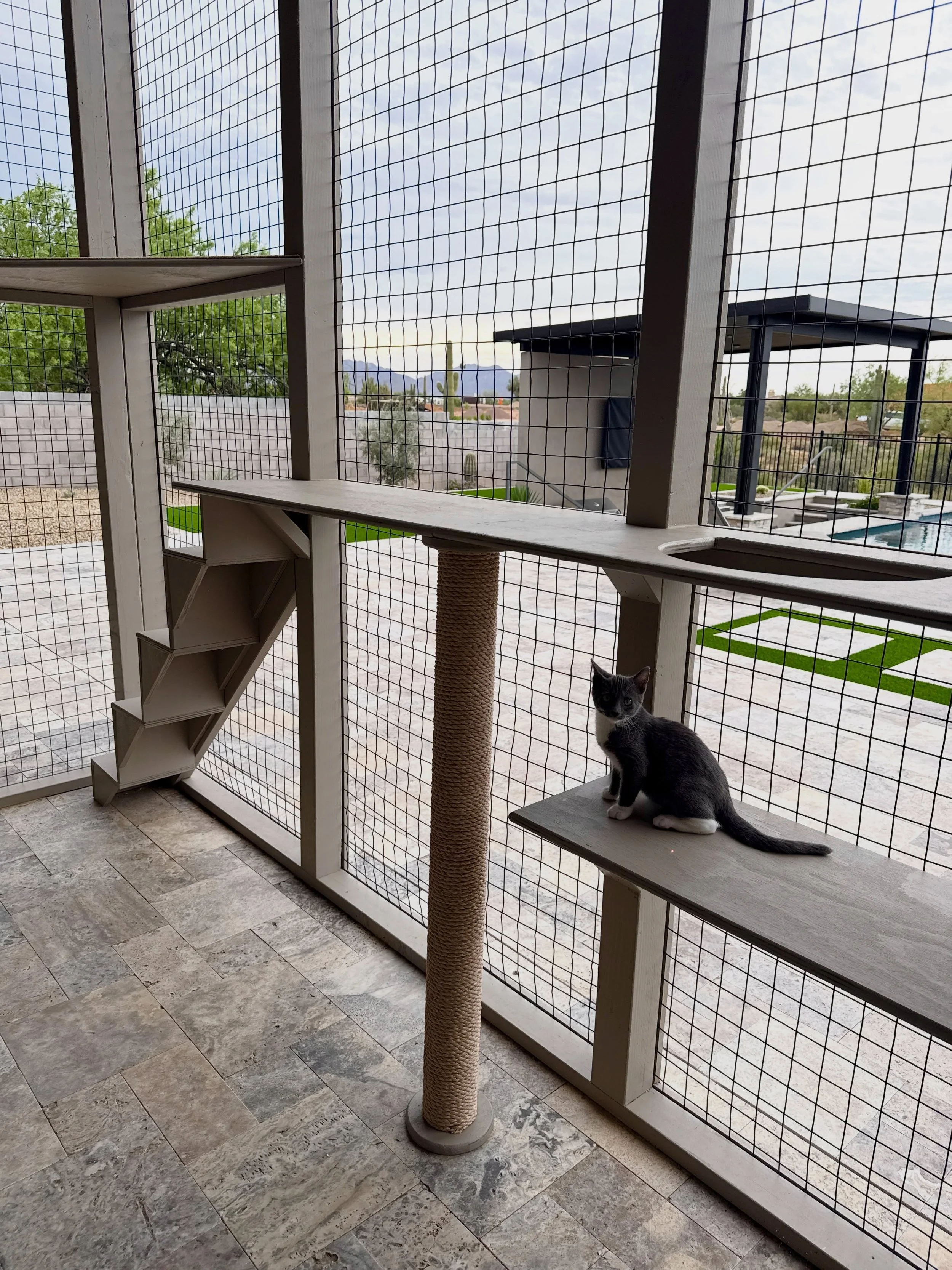 This custom catio was designed to blend with this new home build and existing patio while giving my client&rsquo;s cats plenty of room to explore, climb, and grow 🐱

The custom redwood caps help conceal the mesh for a clean, finished look, while the