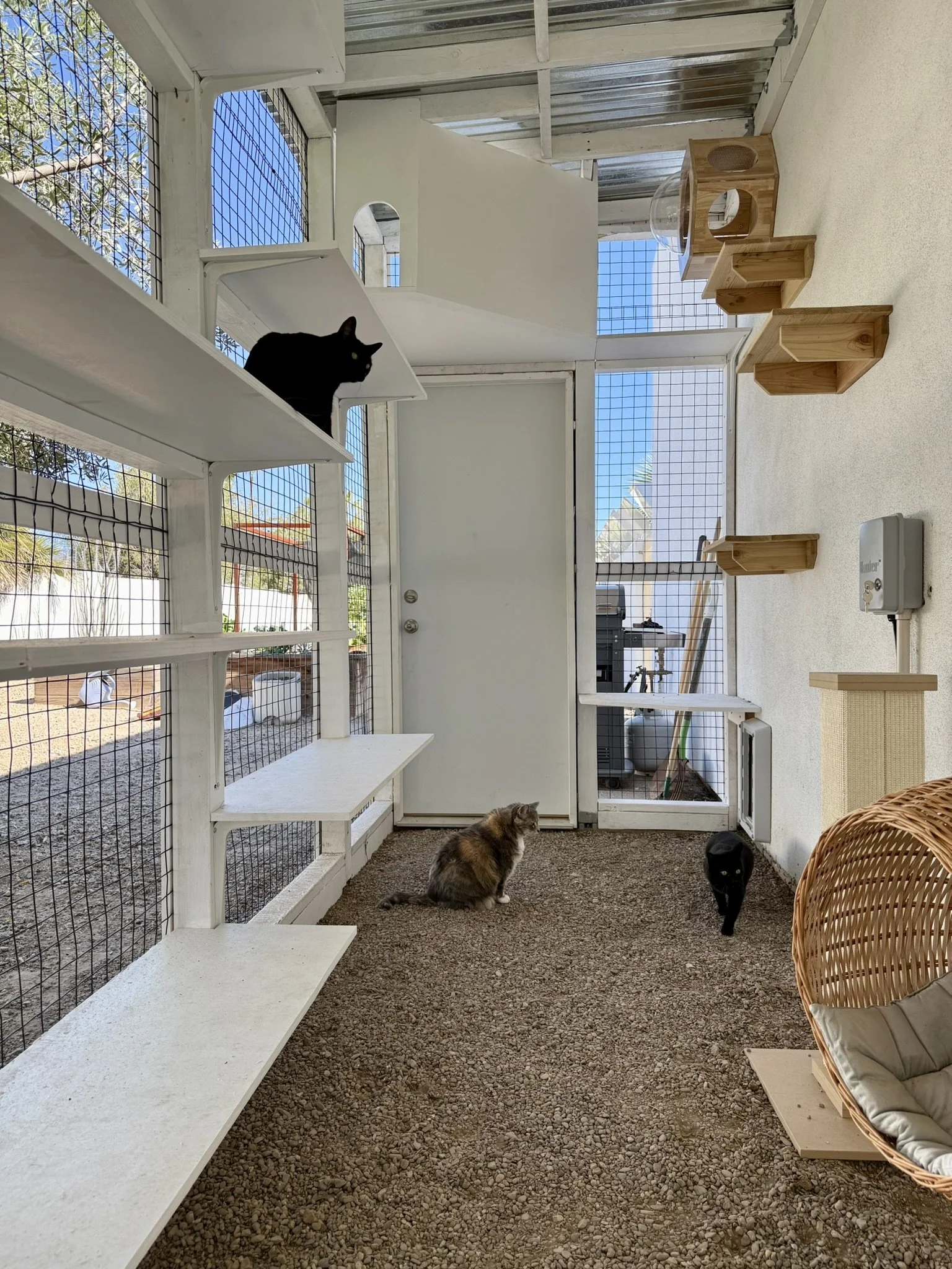 Courtyard -  other accessories.JPEG