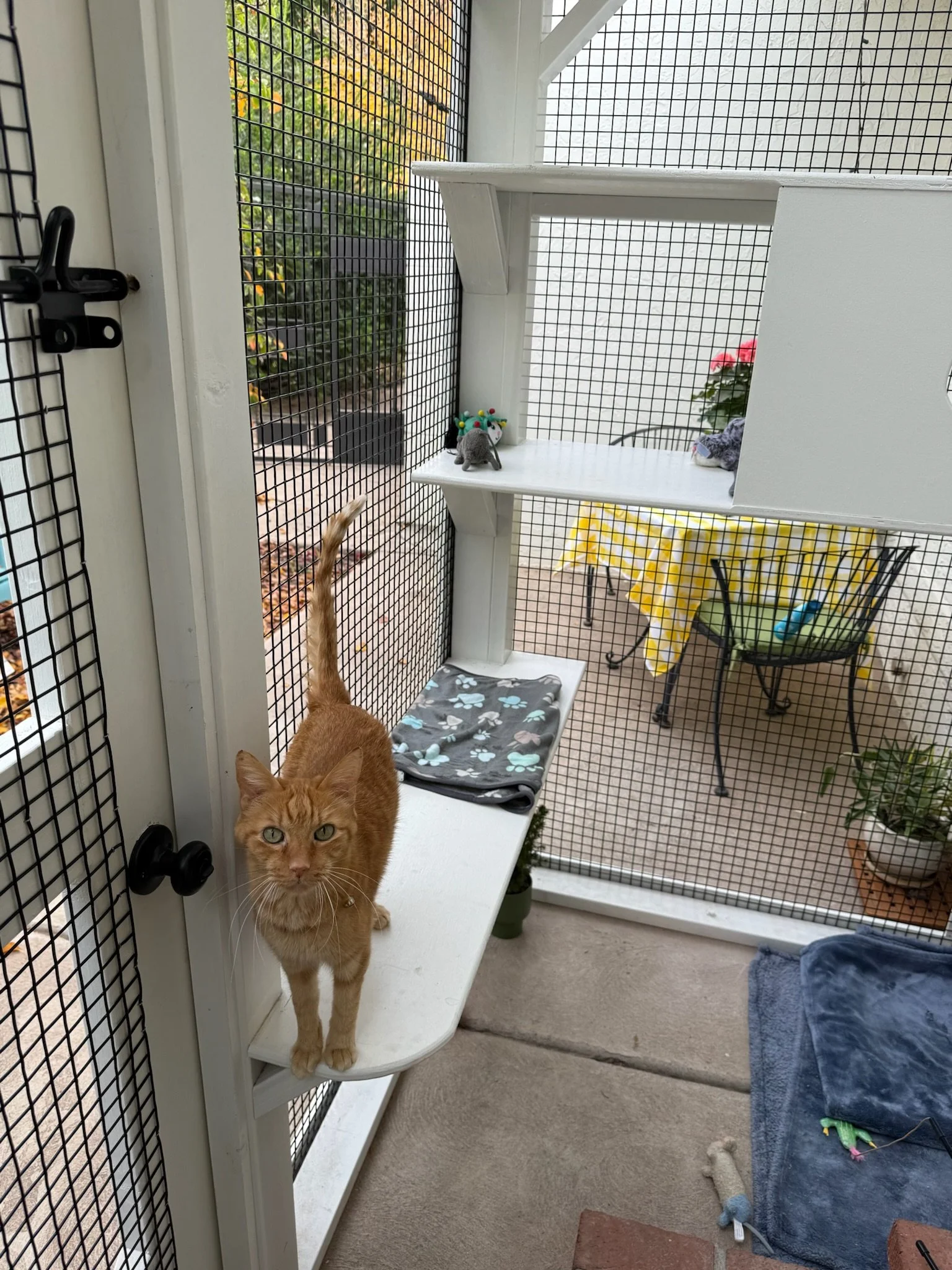 Willo - outgoing.JPG