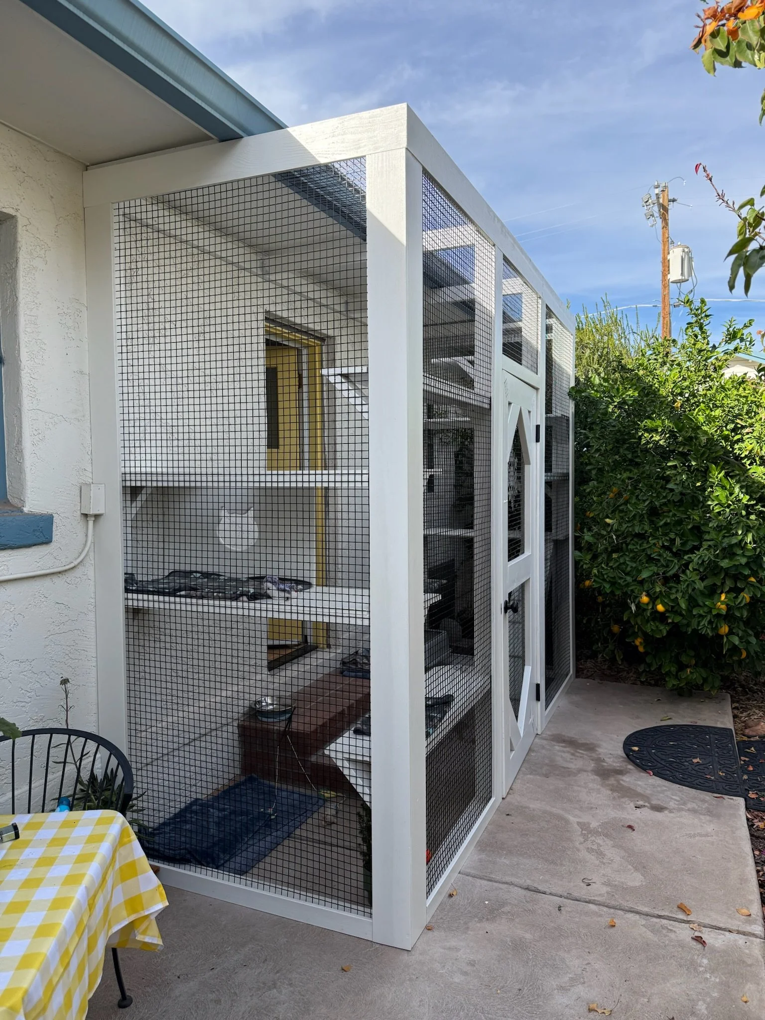 Willo - seamless.JPG