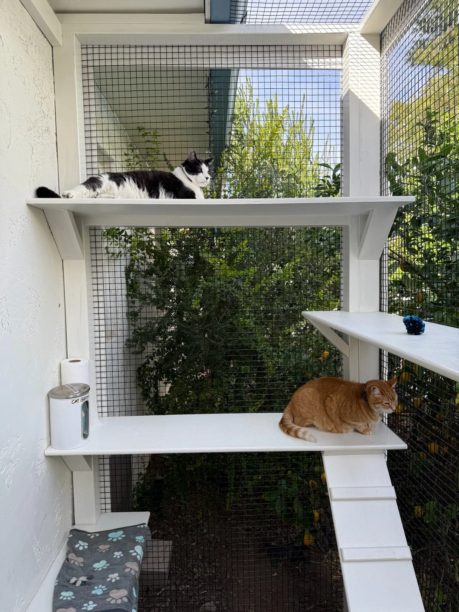 Willo - sections.JPG