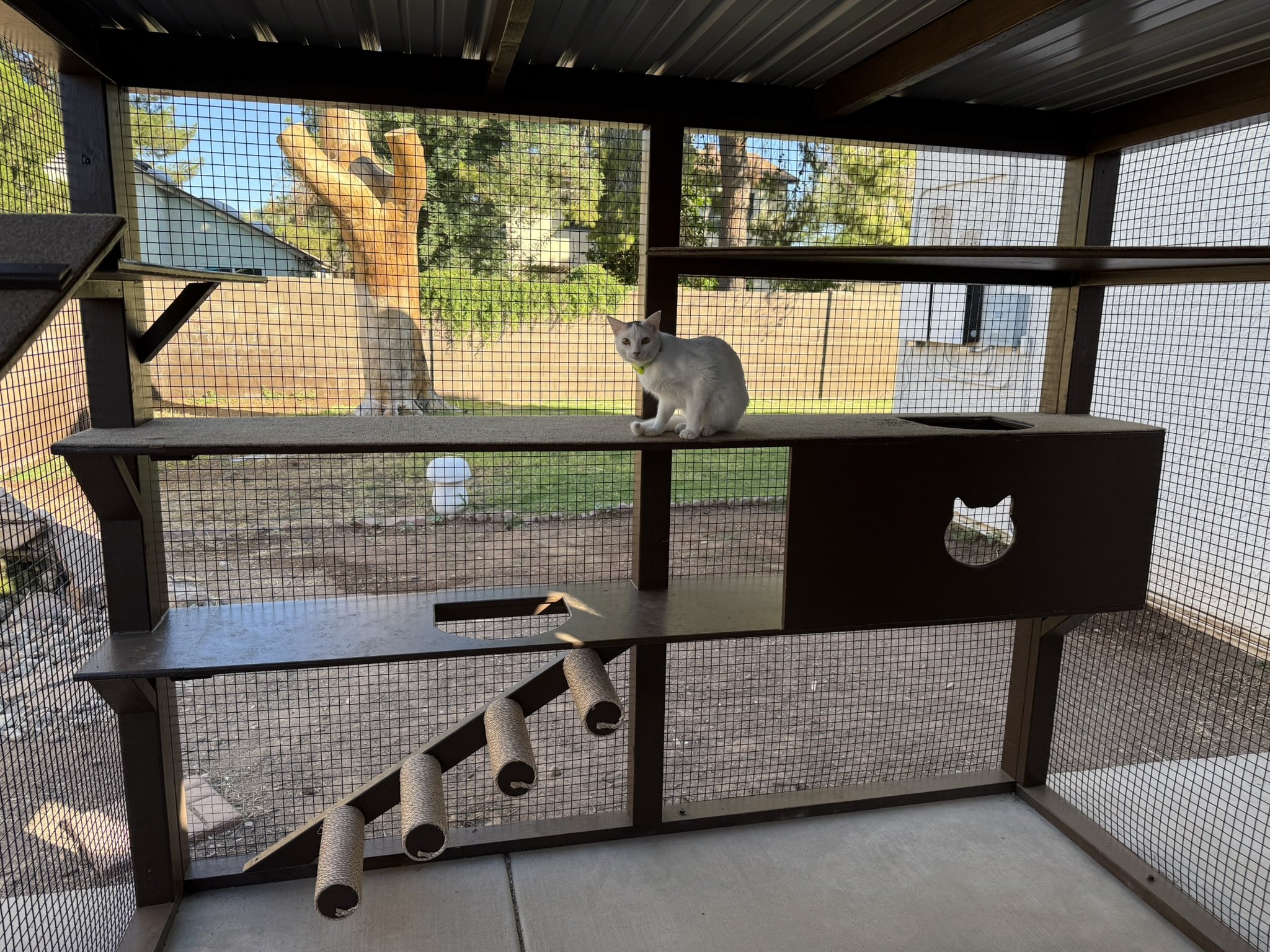 Hummingbird views.JPEG