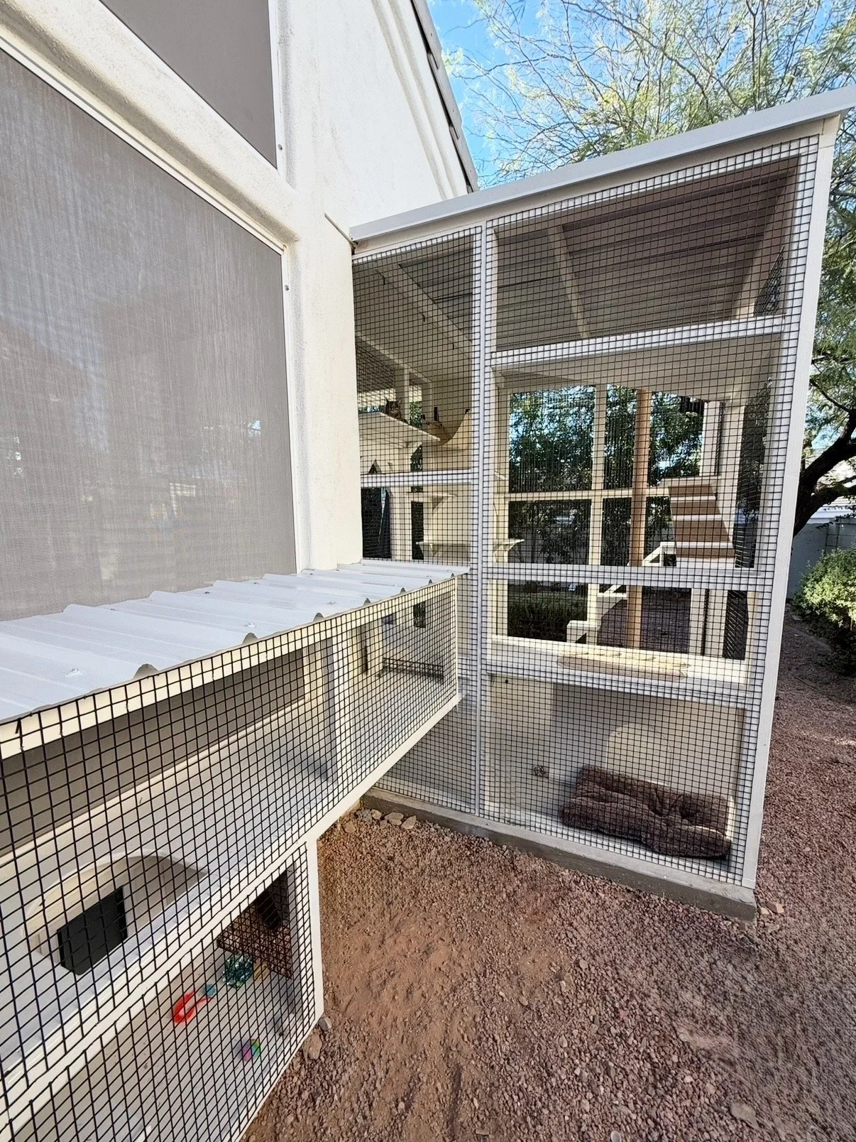 Image - Cat run w base.JPG