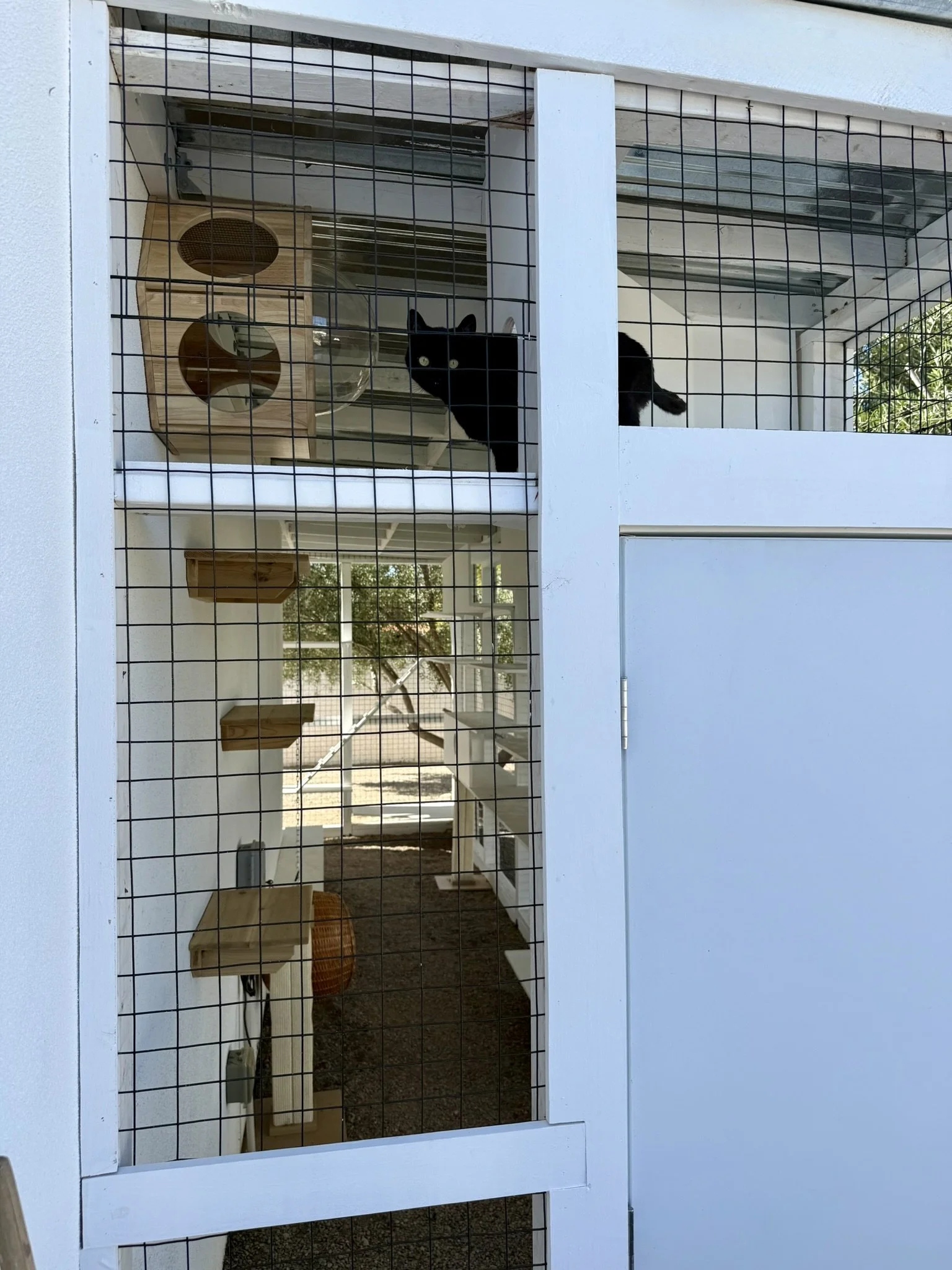 Courtyard -  Added door.JPEG