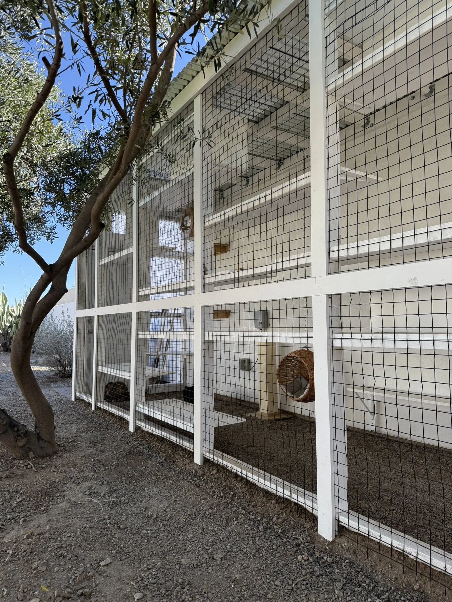 The Courtyard Catio
