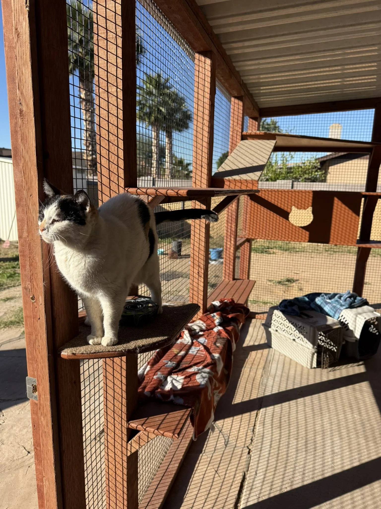 Duo - side view.JPEG