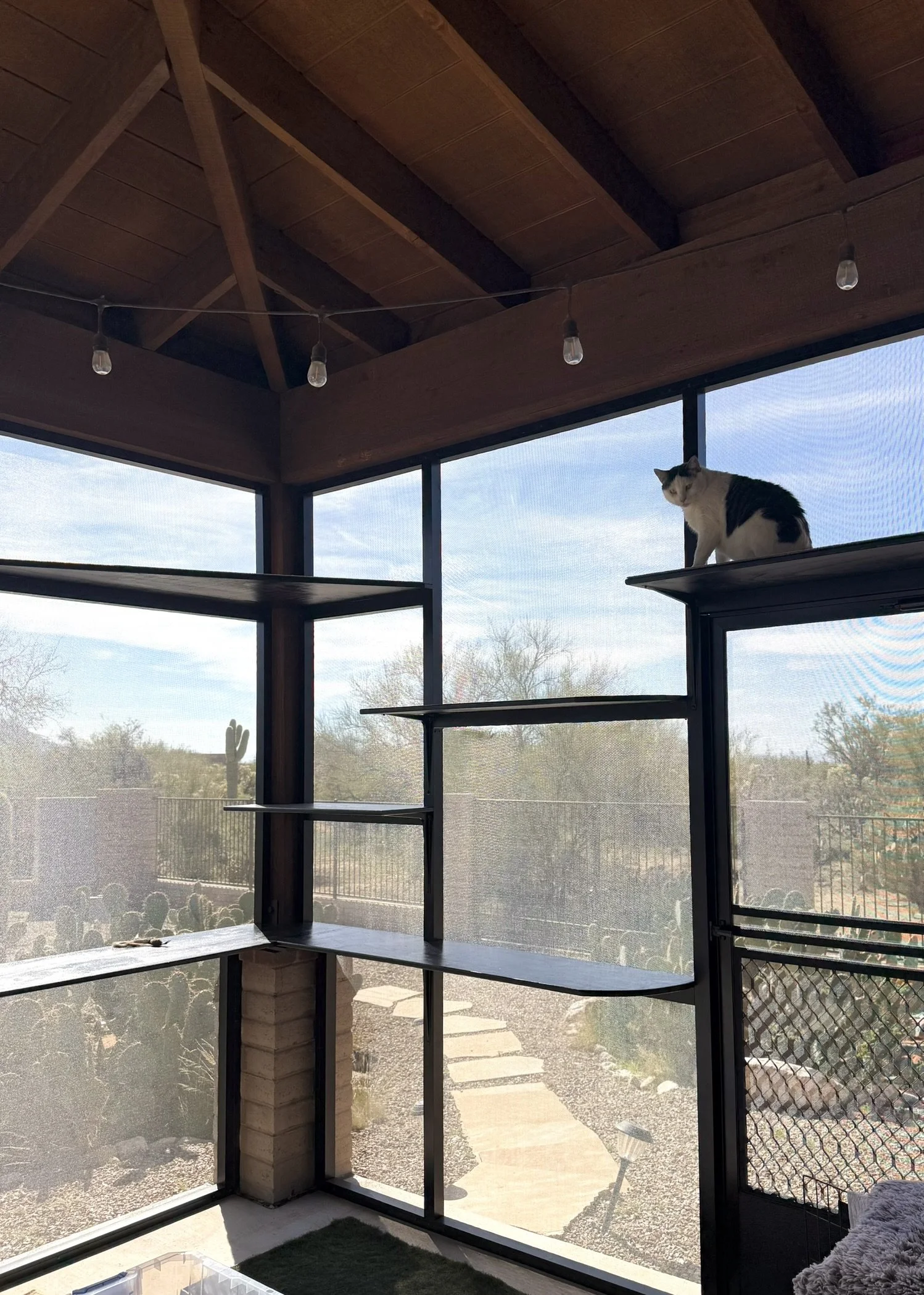 Image - high low.JPEG