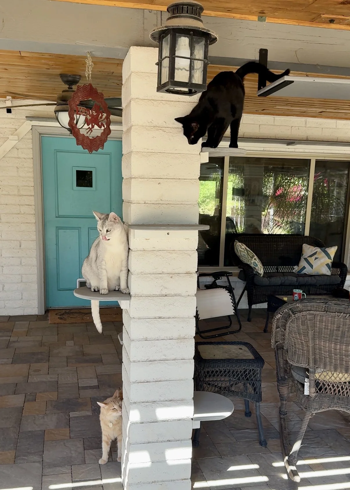 cat tower.jpg