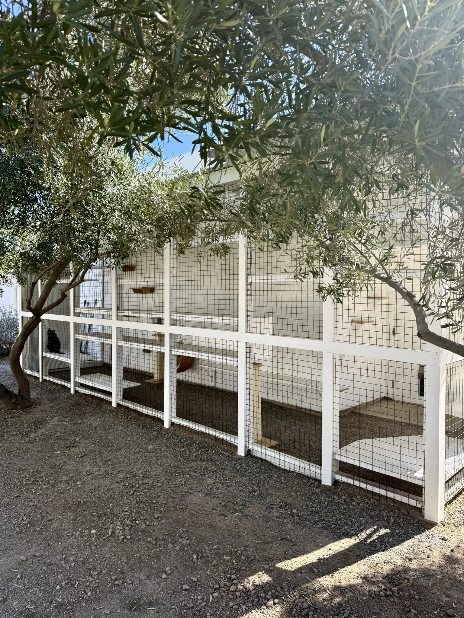 Courtyard - with trees.JPEG