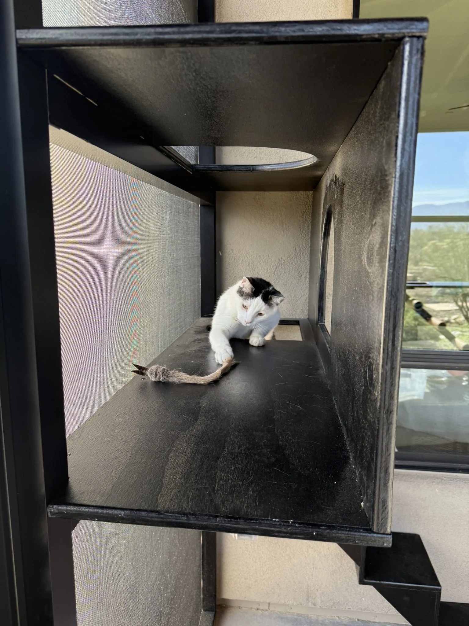 Image - toy grab.JPEG