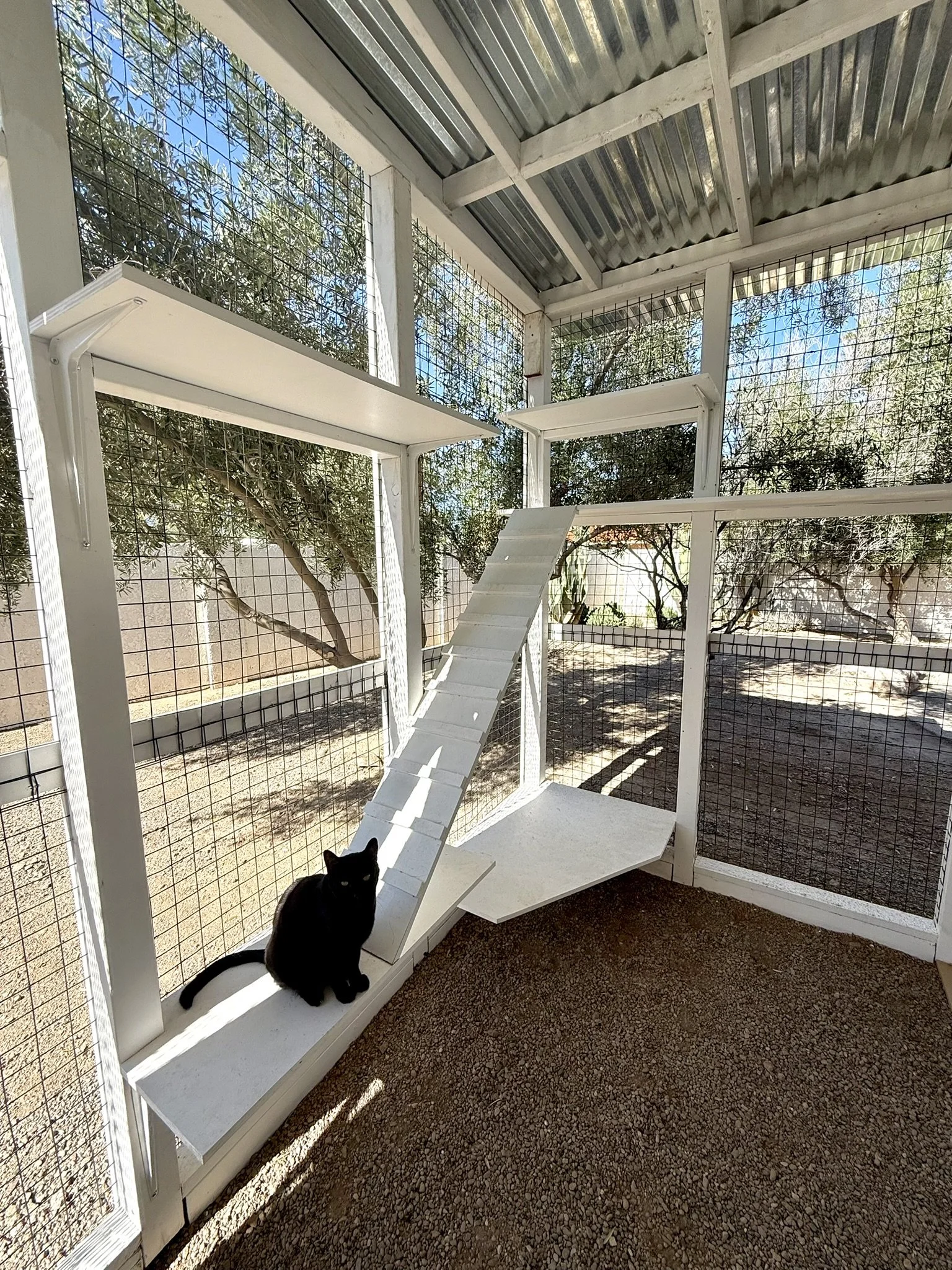 Courtyard - launch ramp.JPEG