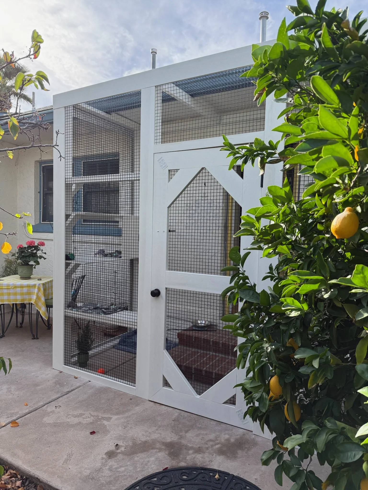 The Willo Signature Catio