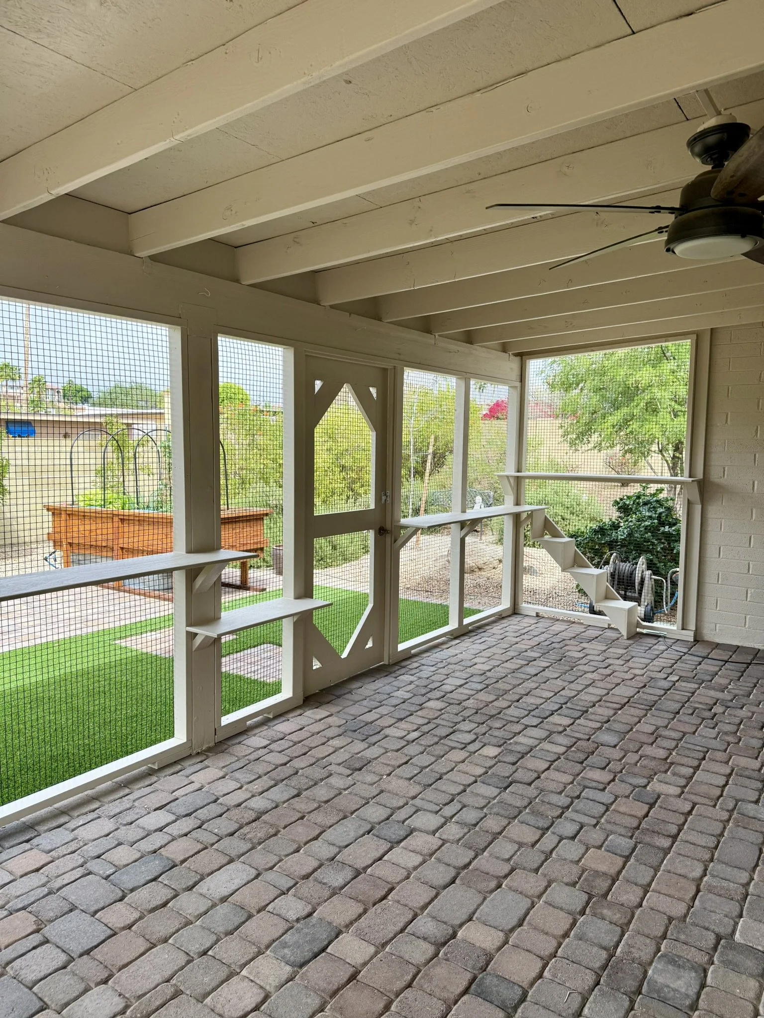 Image - cat patio.JPEG