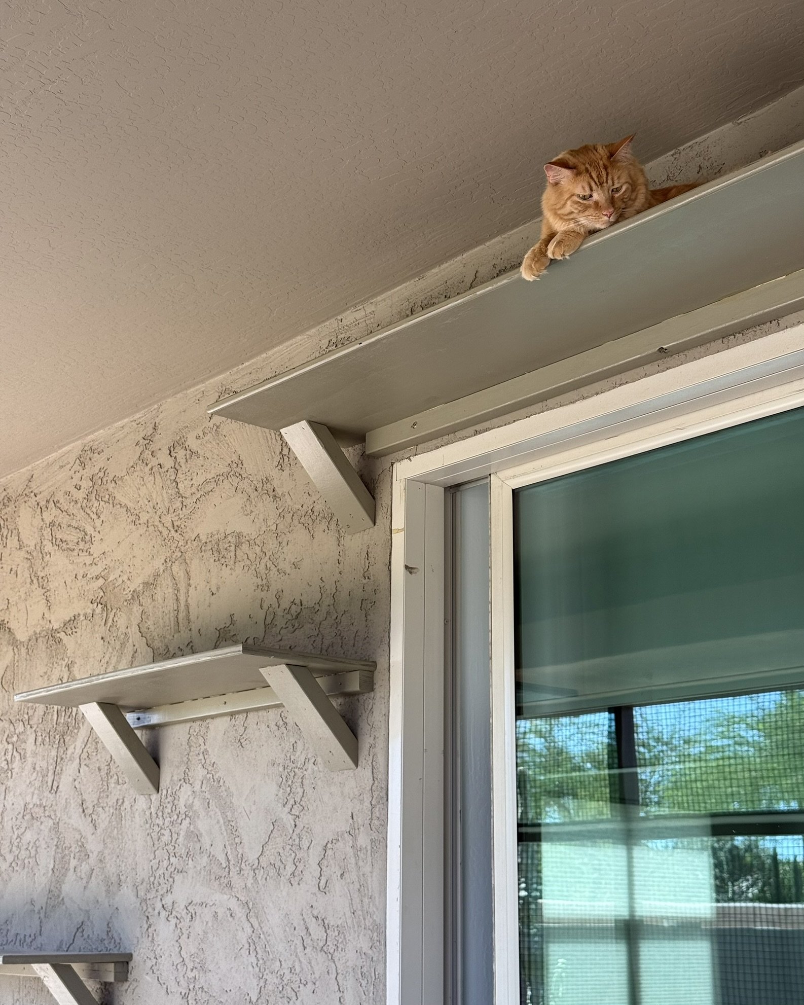 Hide out.JPEG