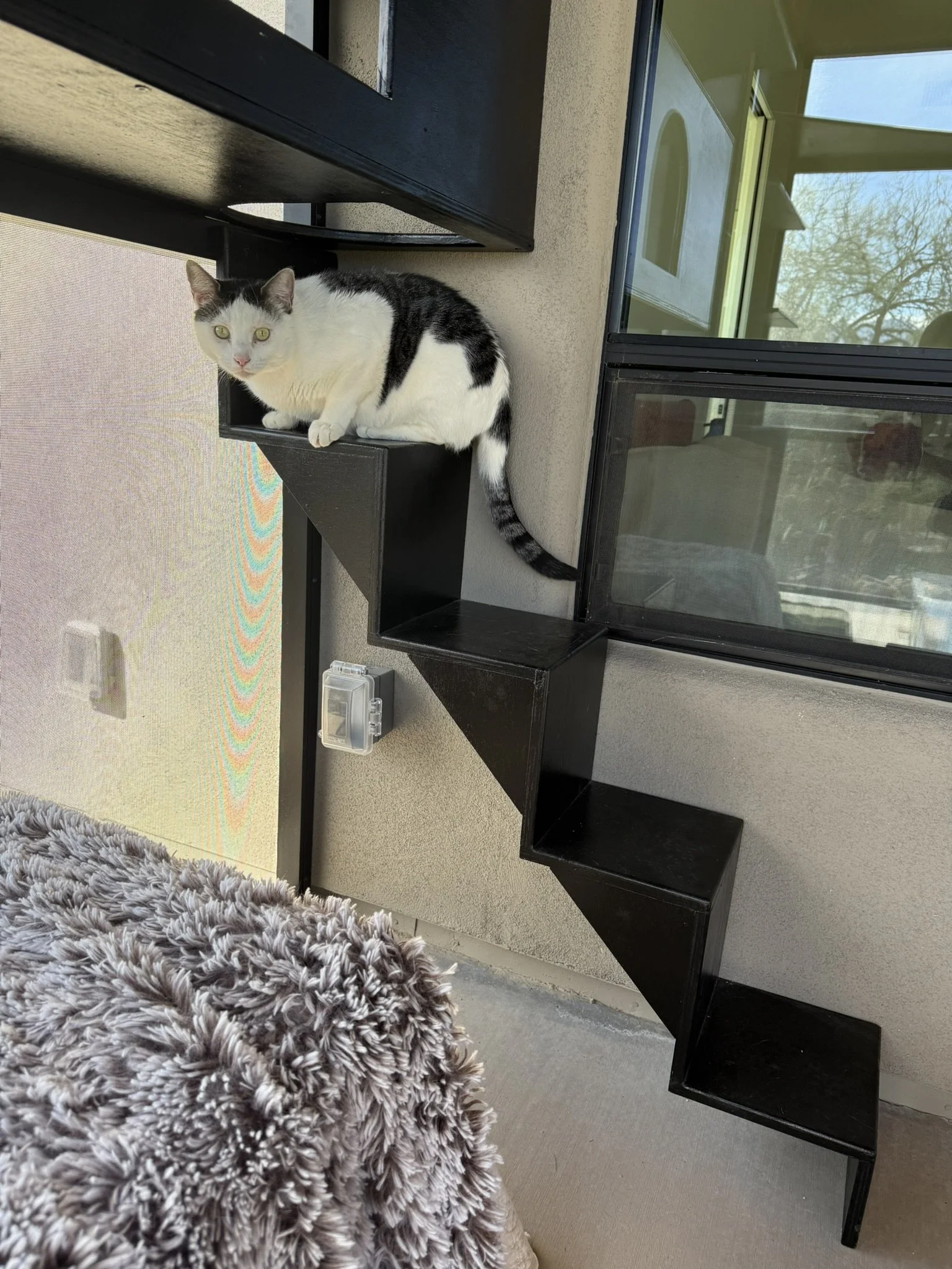 Image - stair steps.JPEG