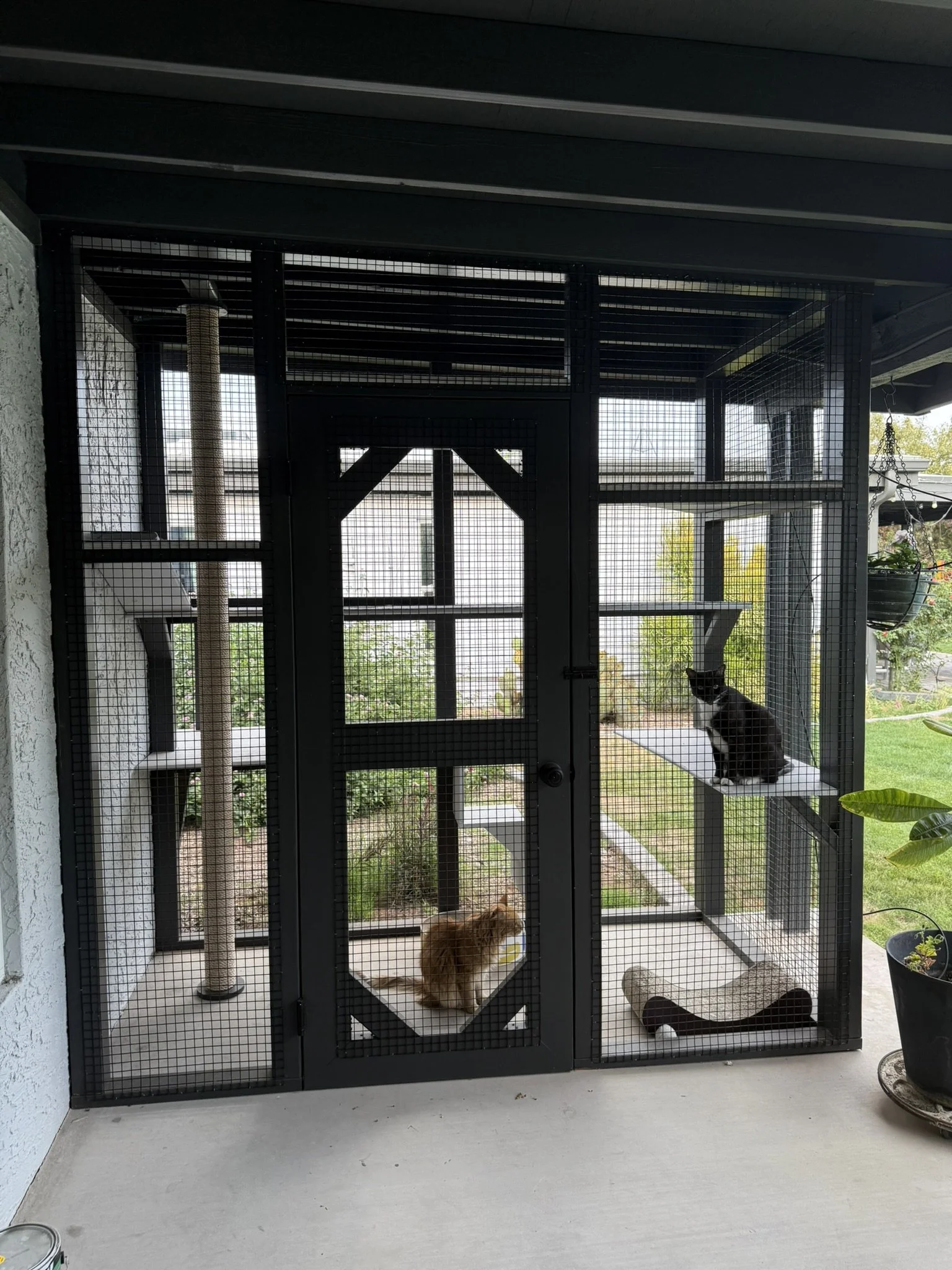 Under cover catio.JPEG