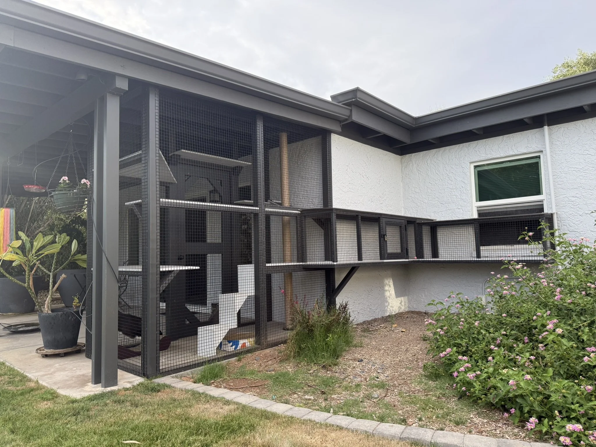 Front elevation.JPEG