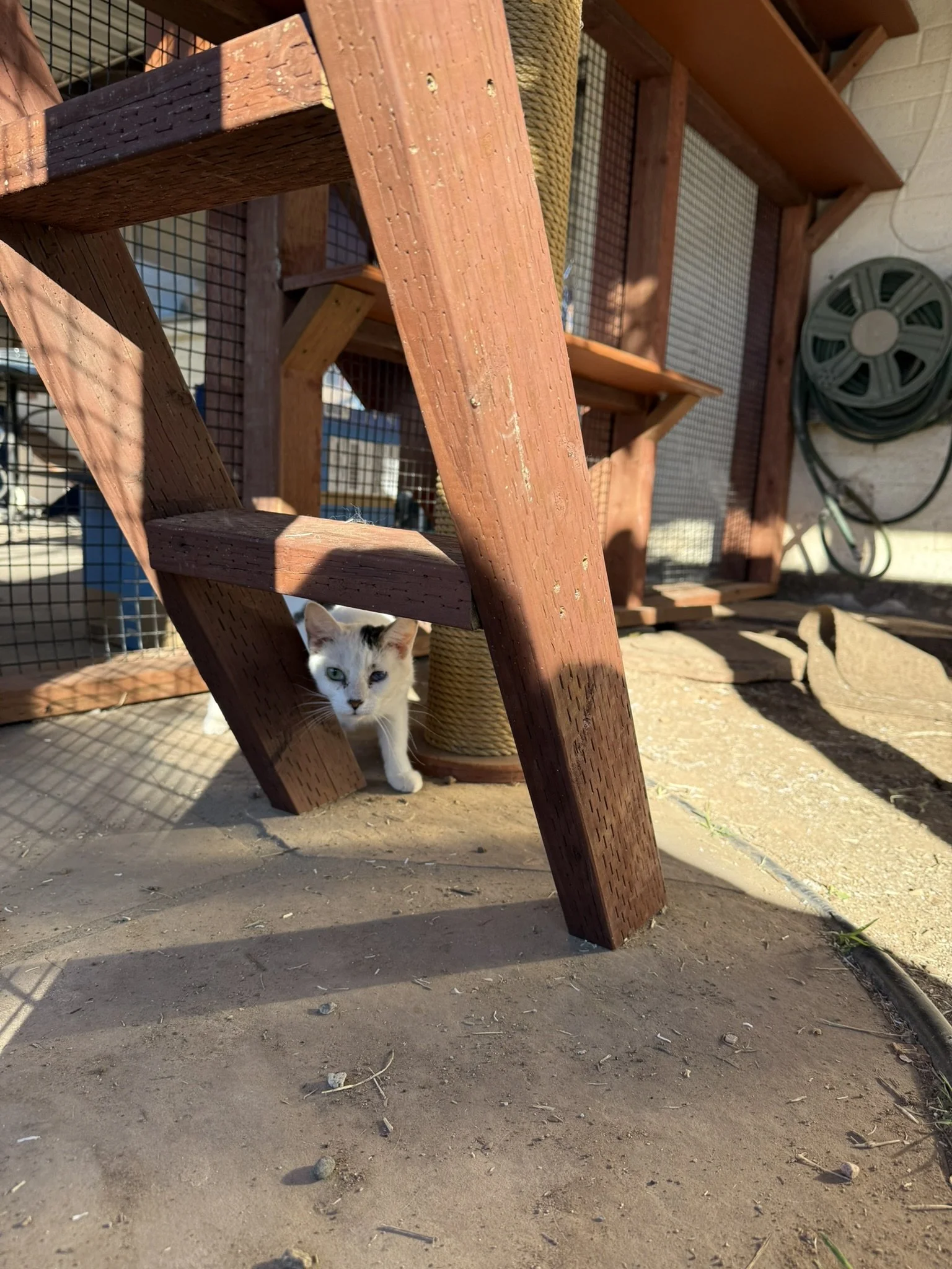 Duo - I see you.JPEG