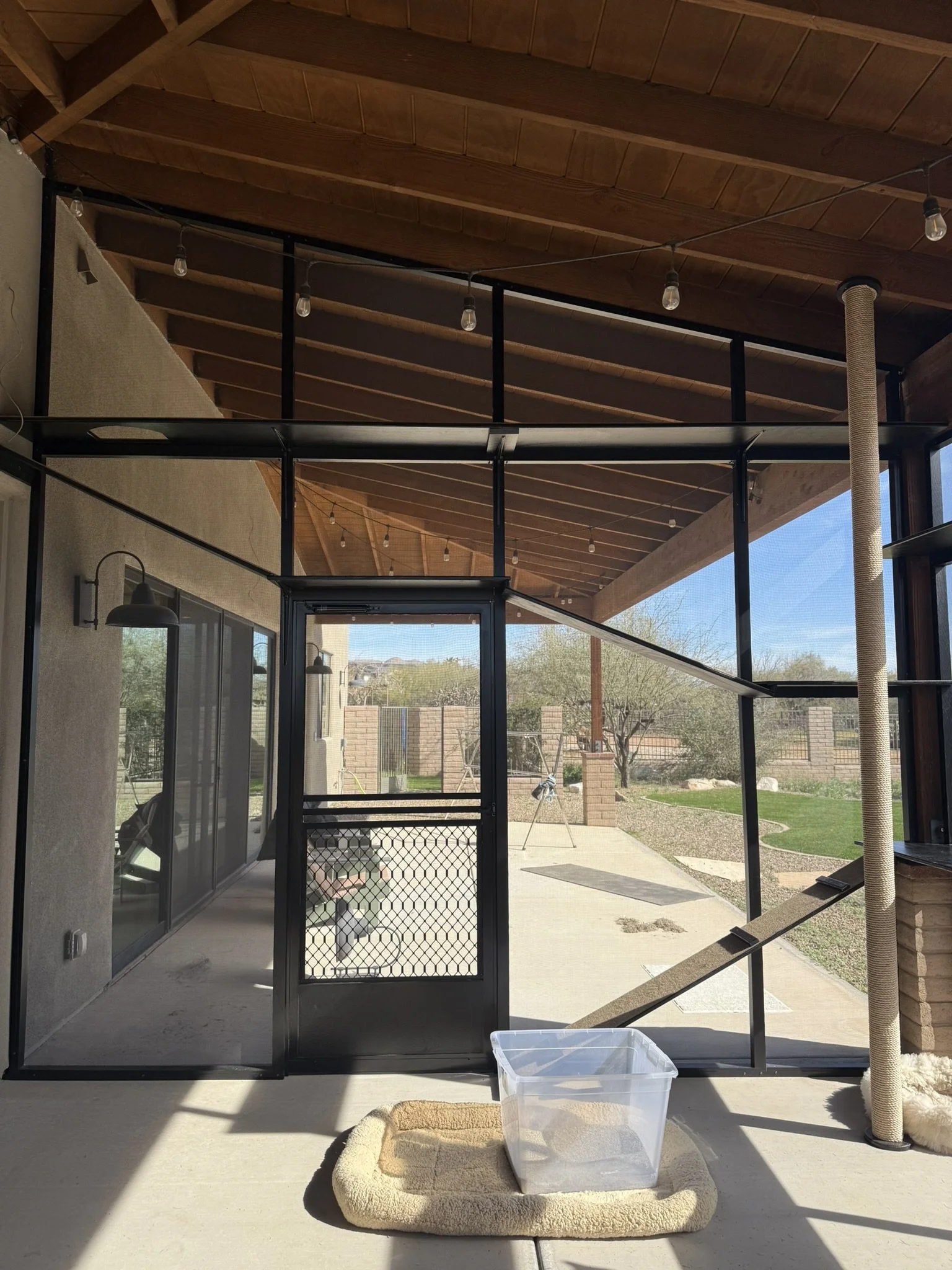 Image - gymnasium.JPEG