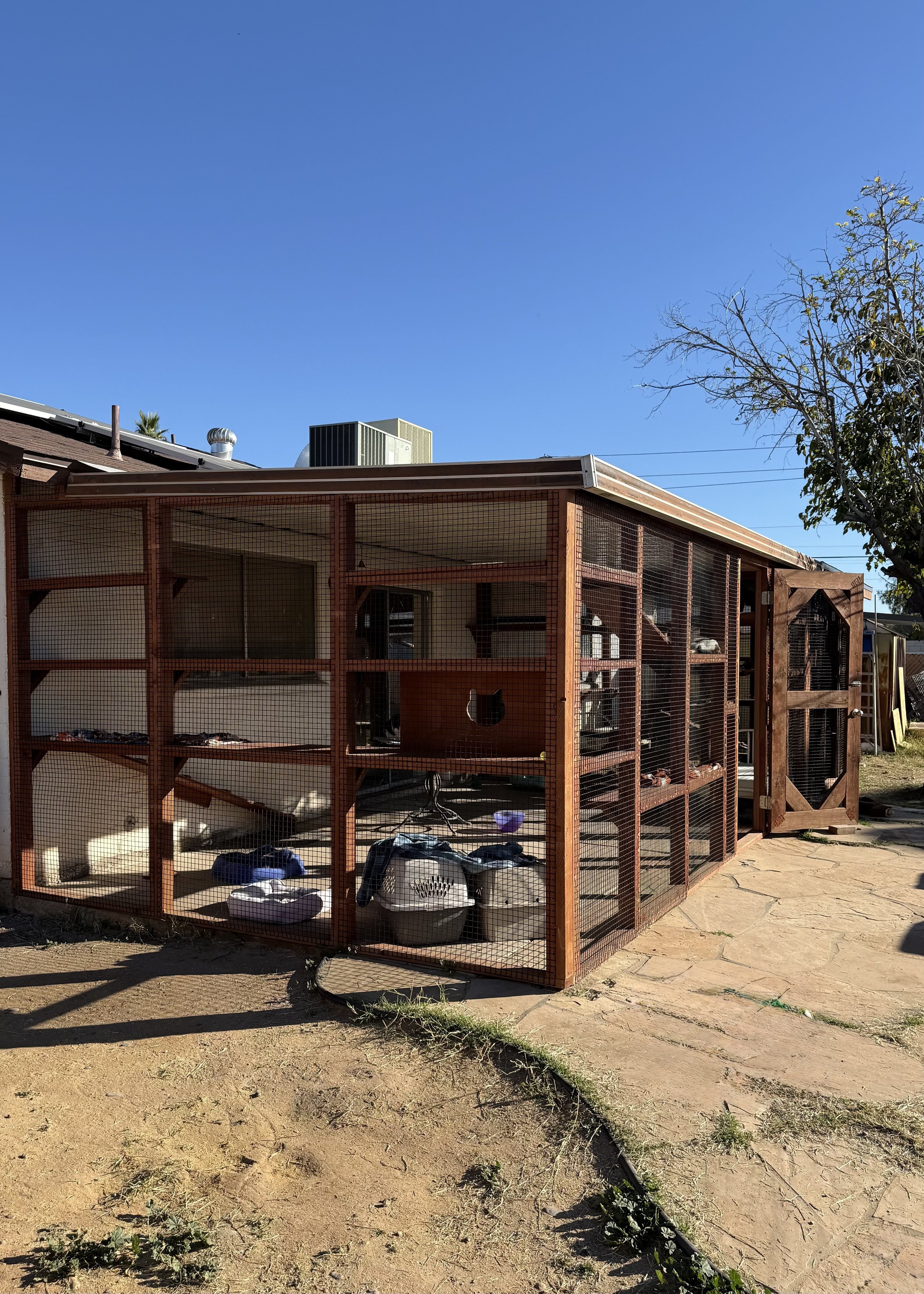 Duo - large catio.jpeg