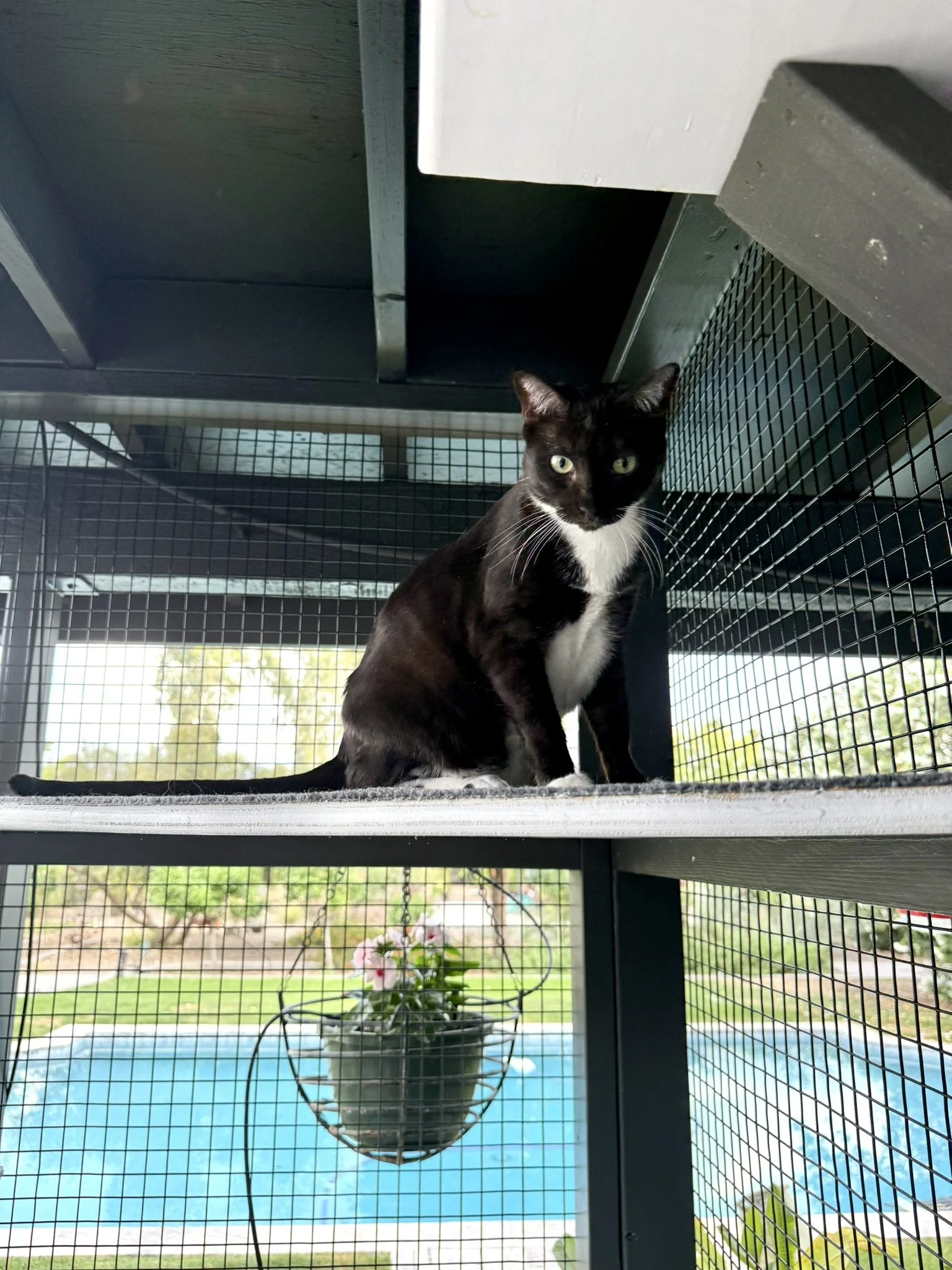 Second story access.JPEG
