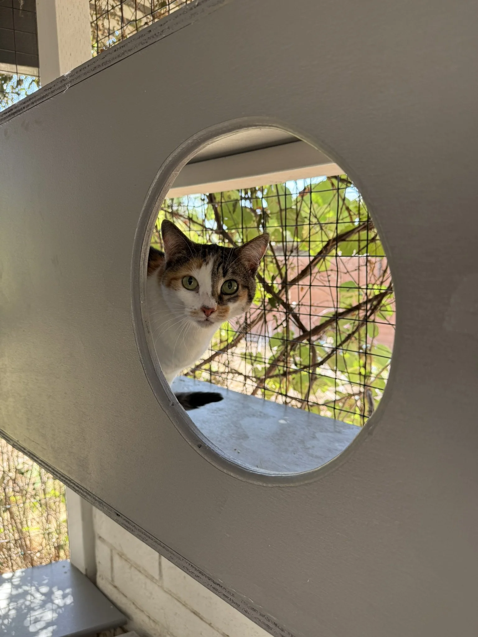In the environment.JPEG