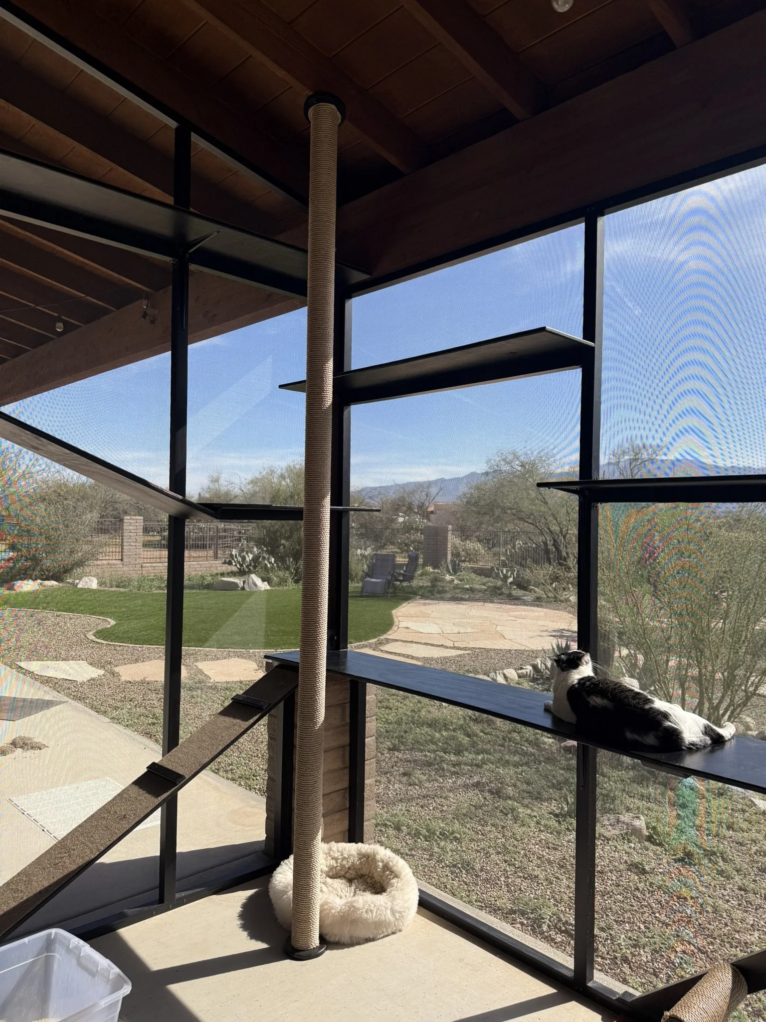 Image - desert views.JPEG