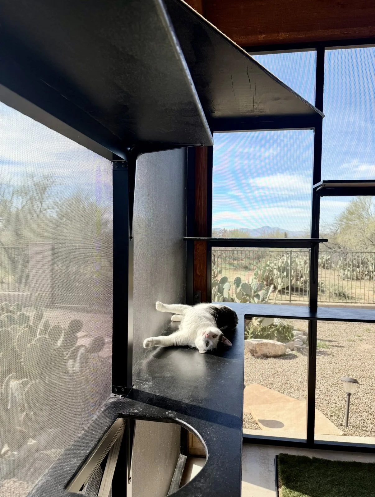 Image - shelf play.jpg