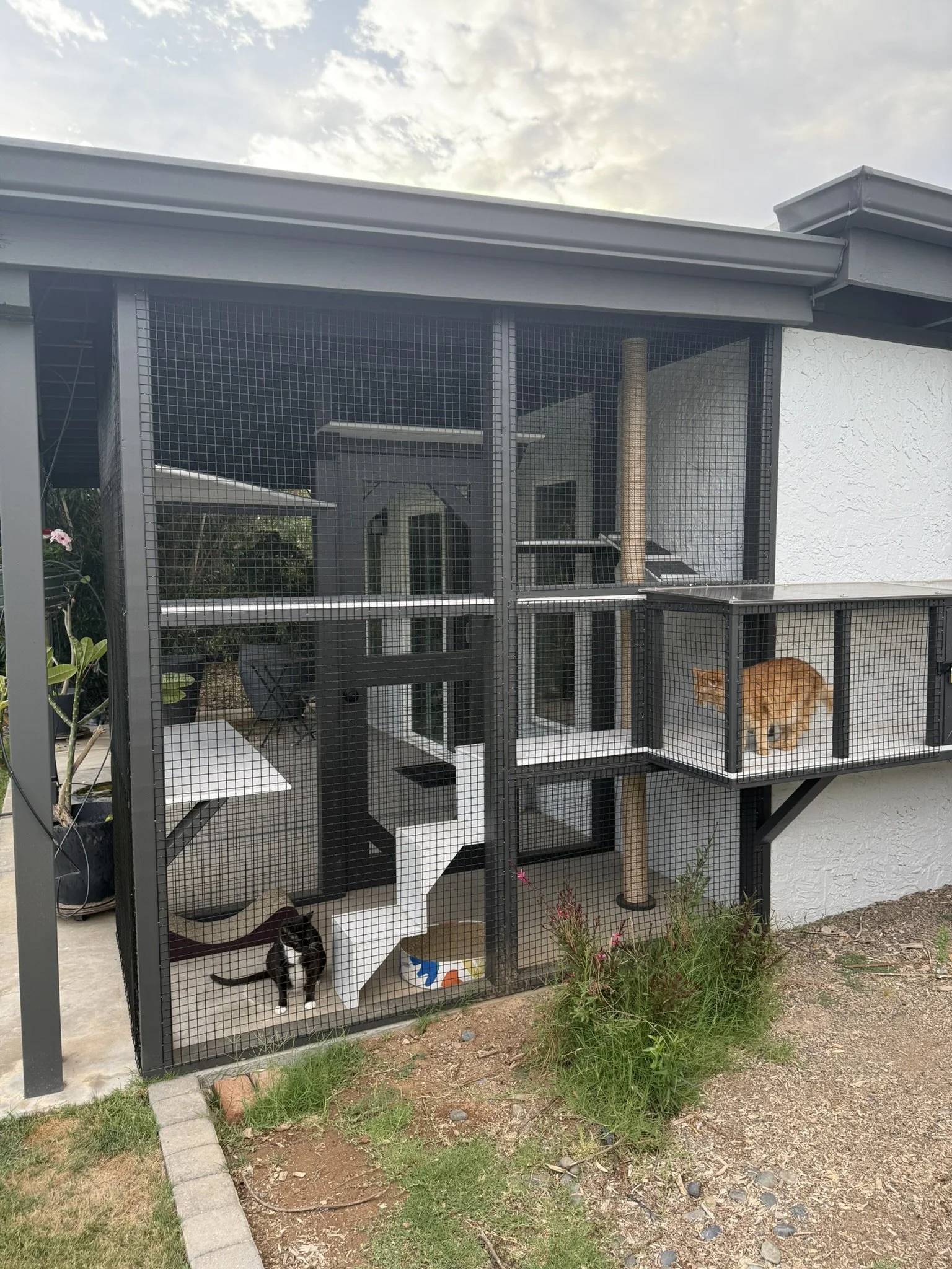 Chester & Harry’s Garden Retreat