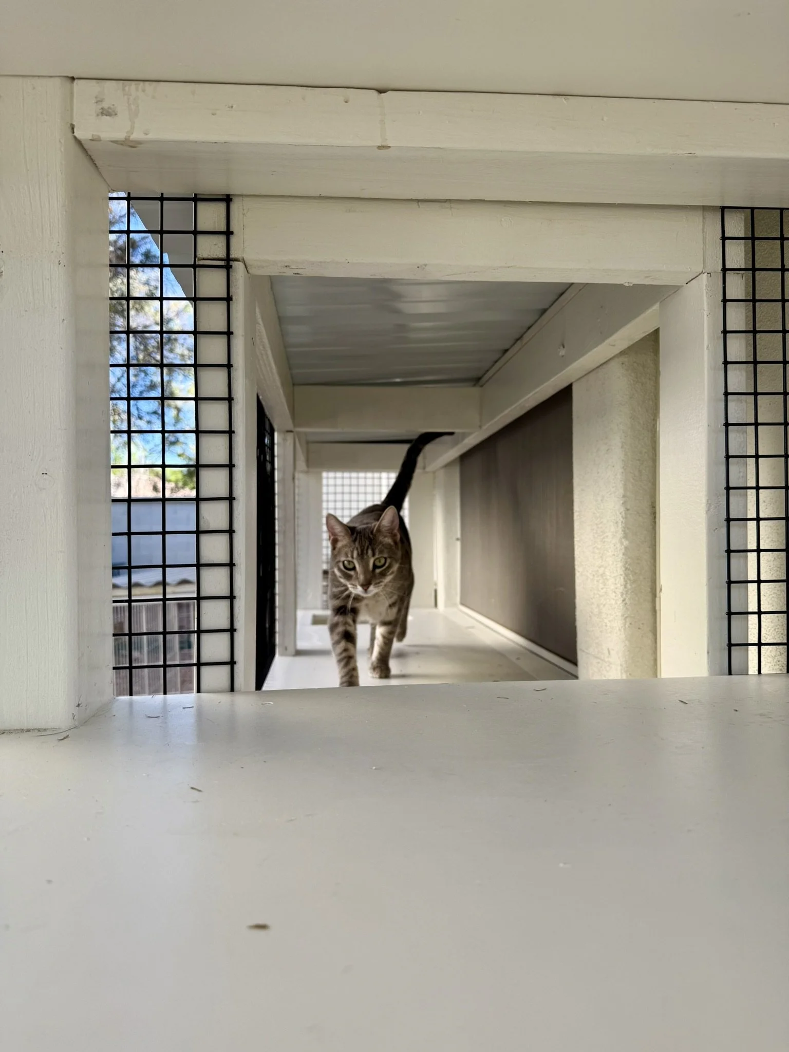 Image - secret passage.JPEG