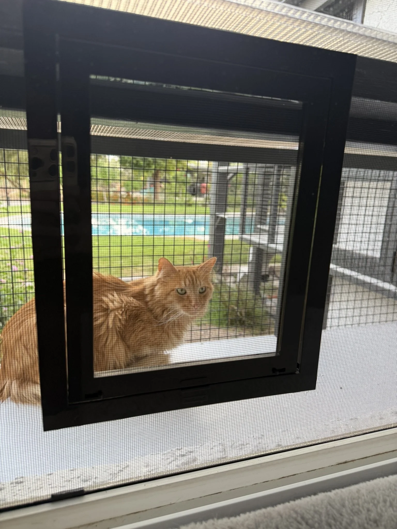 Window entry.JPEG
