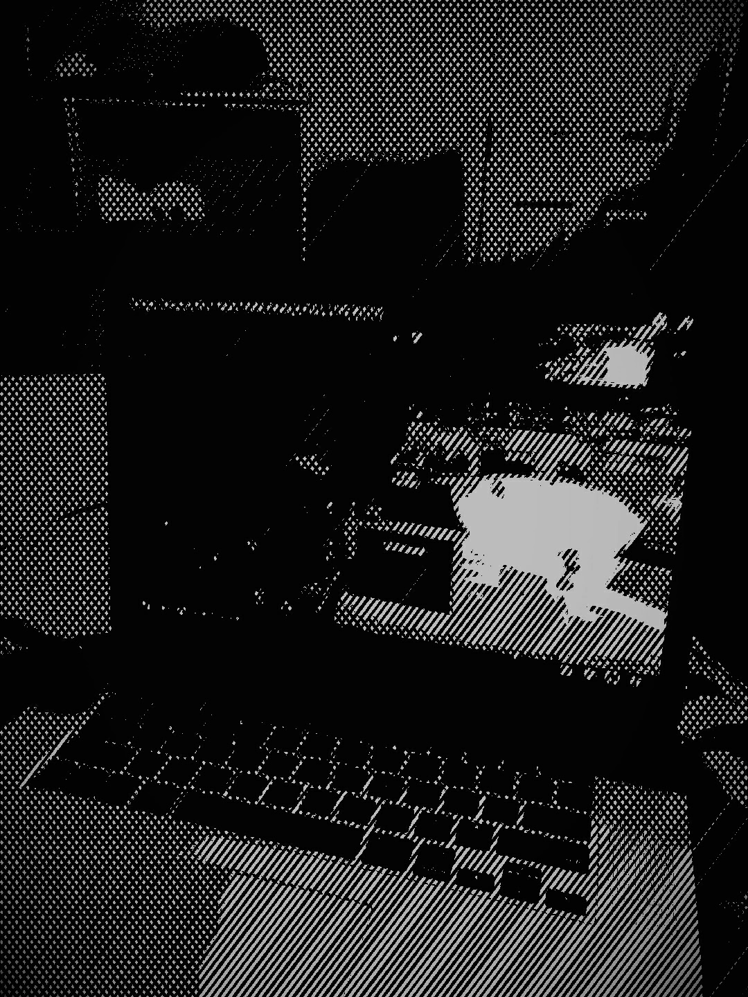 A black and white photo of a workspace with a computer monitor displaying an animal silhouette, a keyboard, a mouse, and potted plants.