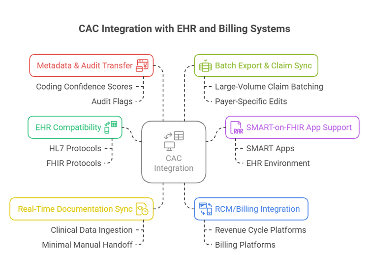 Understanding Computer-Assisted Coding (CAC) Terms — AMBCI