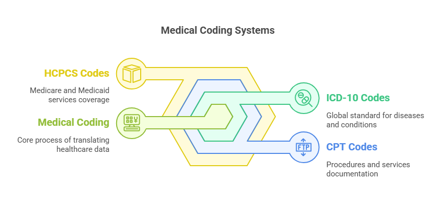 Basics of Medical Coding