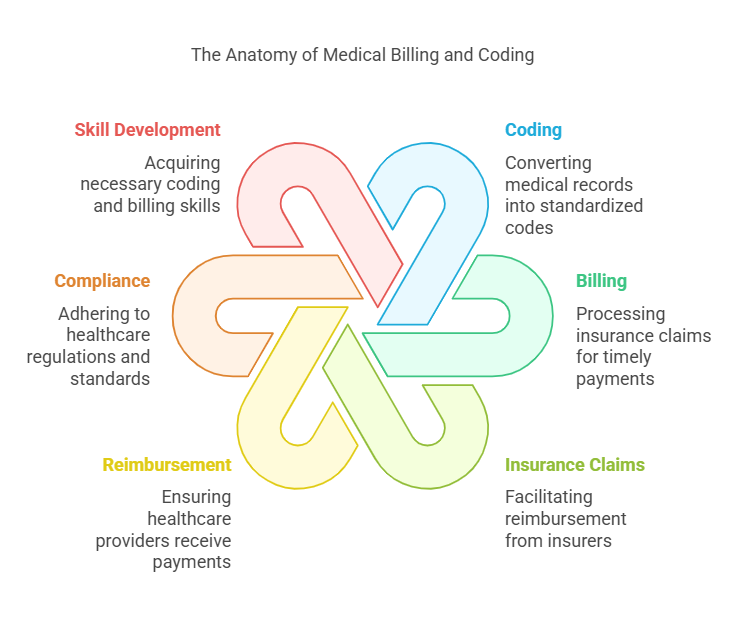 Best Medical Billing and Coding Program: Top Picks — AMBCI